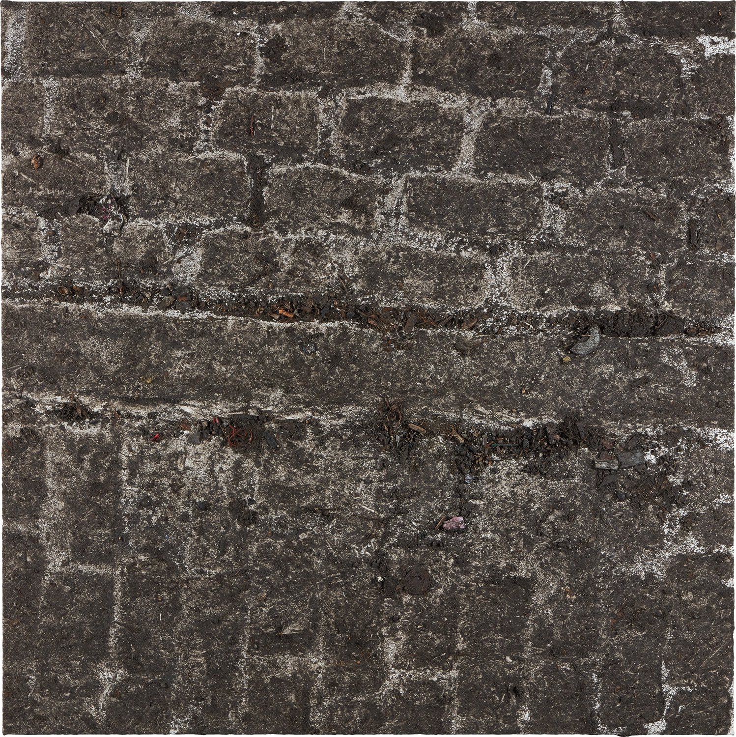 Dan Colen — I Knew Nothing