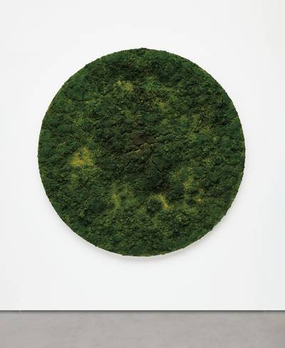 diameter 73 in. (185.4 cm)