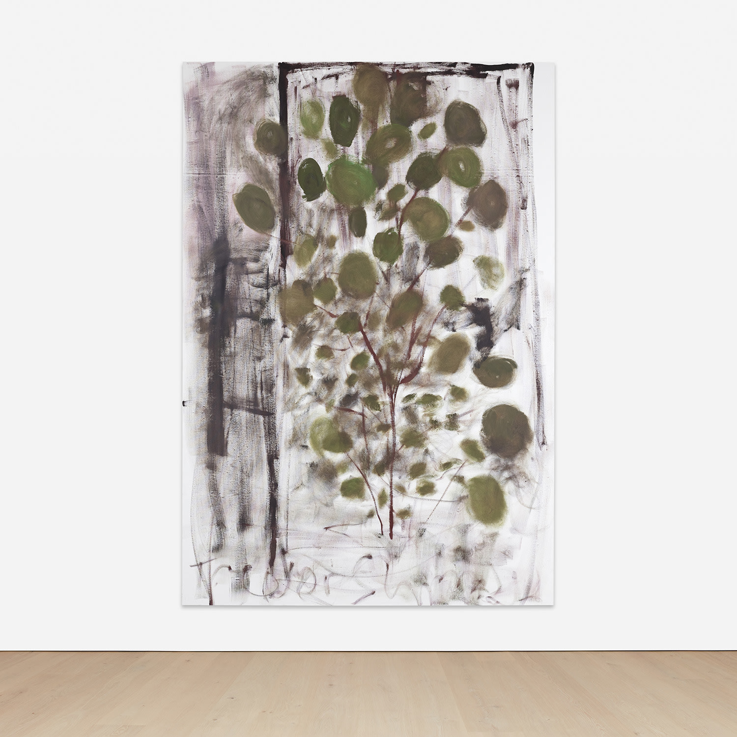 Trevor Shimizu — Aralia