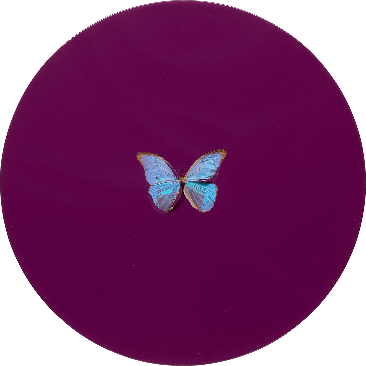 Damien Hirst — Cancer