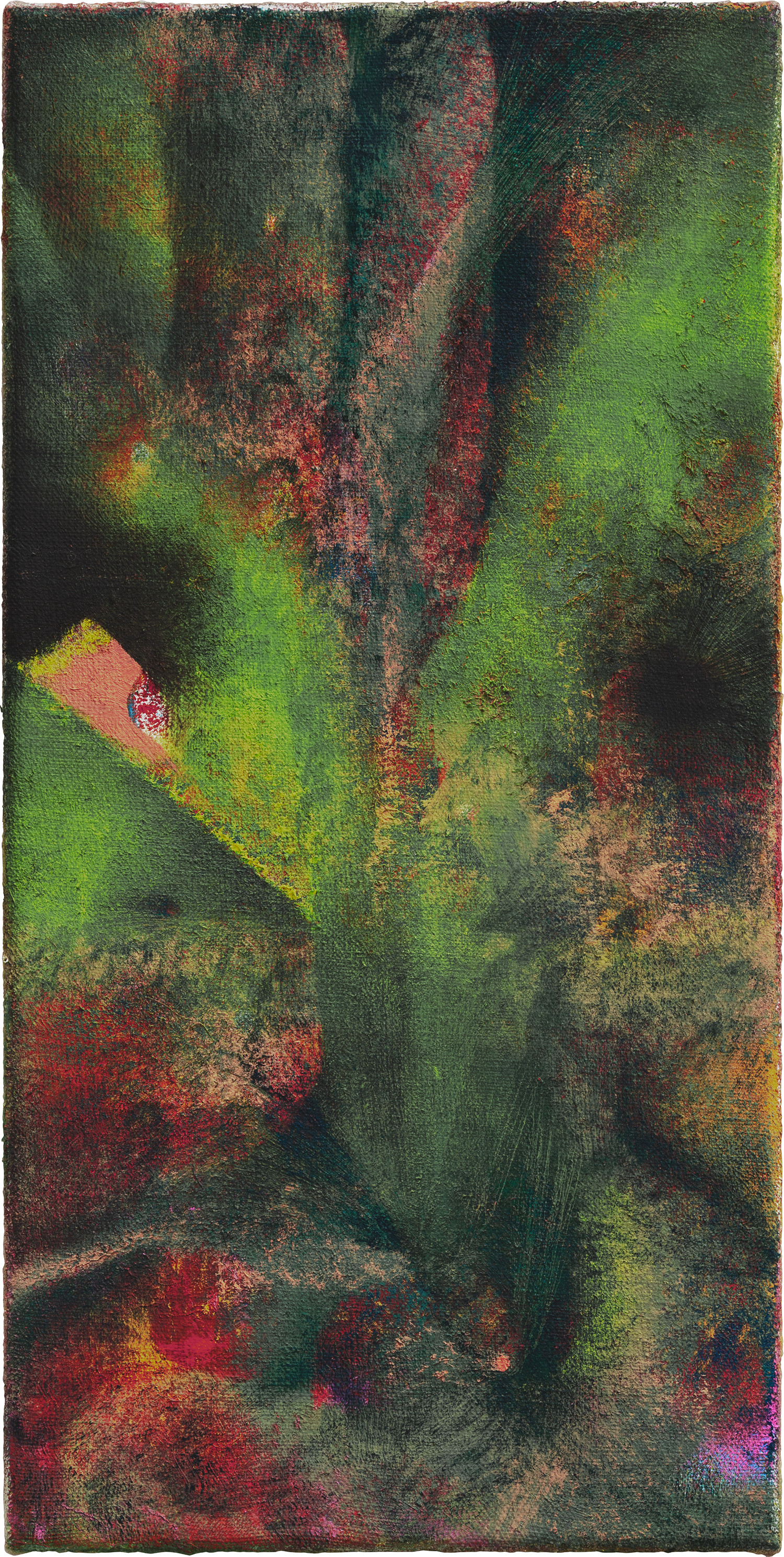 Lauren Quin — Hook for Helianthus