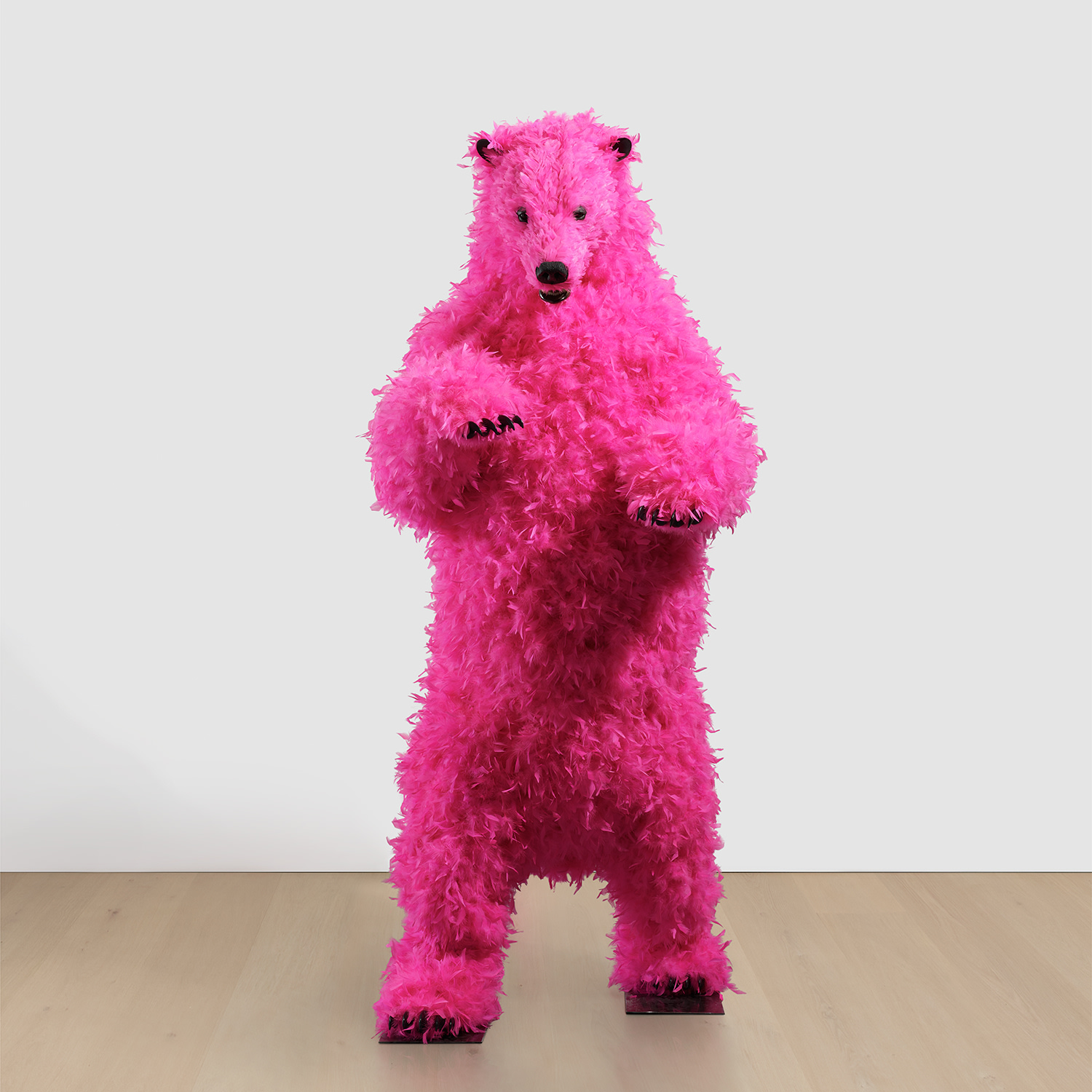 Paola Pivi — I was here before you