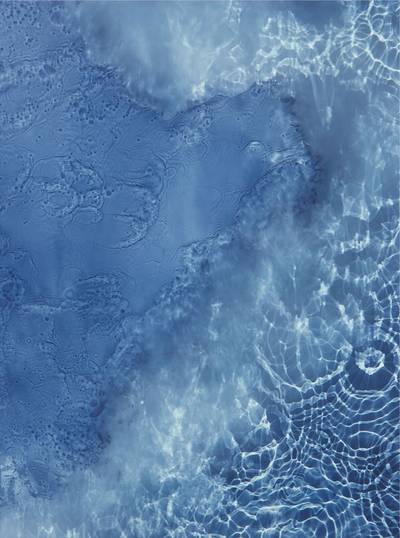 Cibachrome photogram