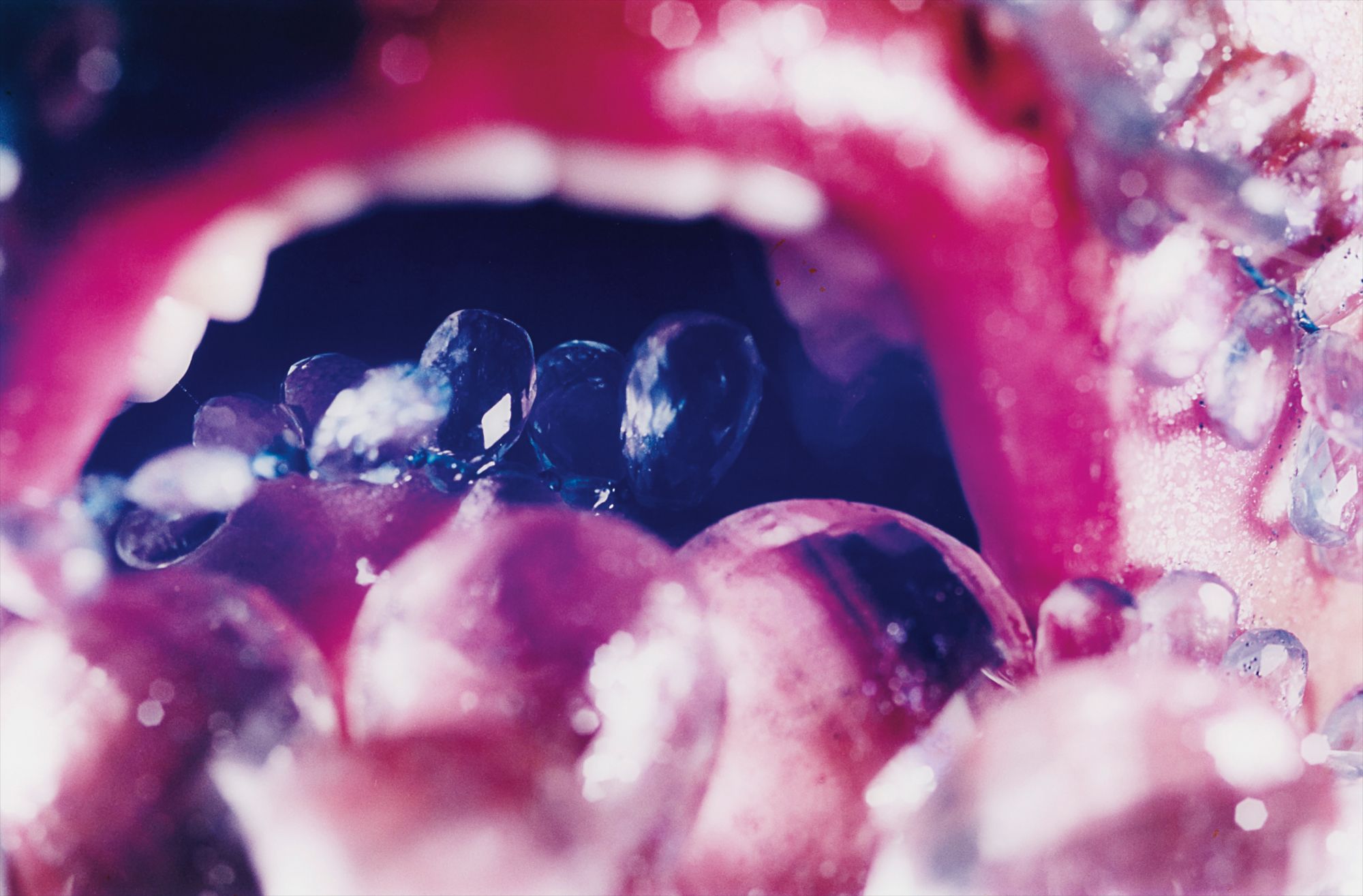 Marilyn Minter — Deep Throat