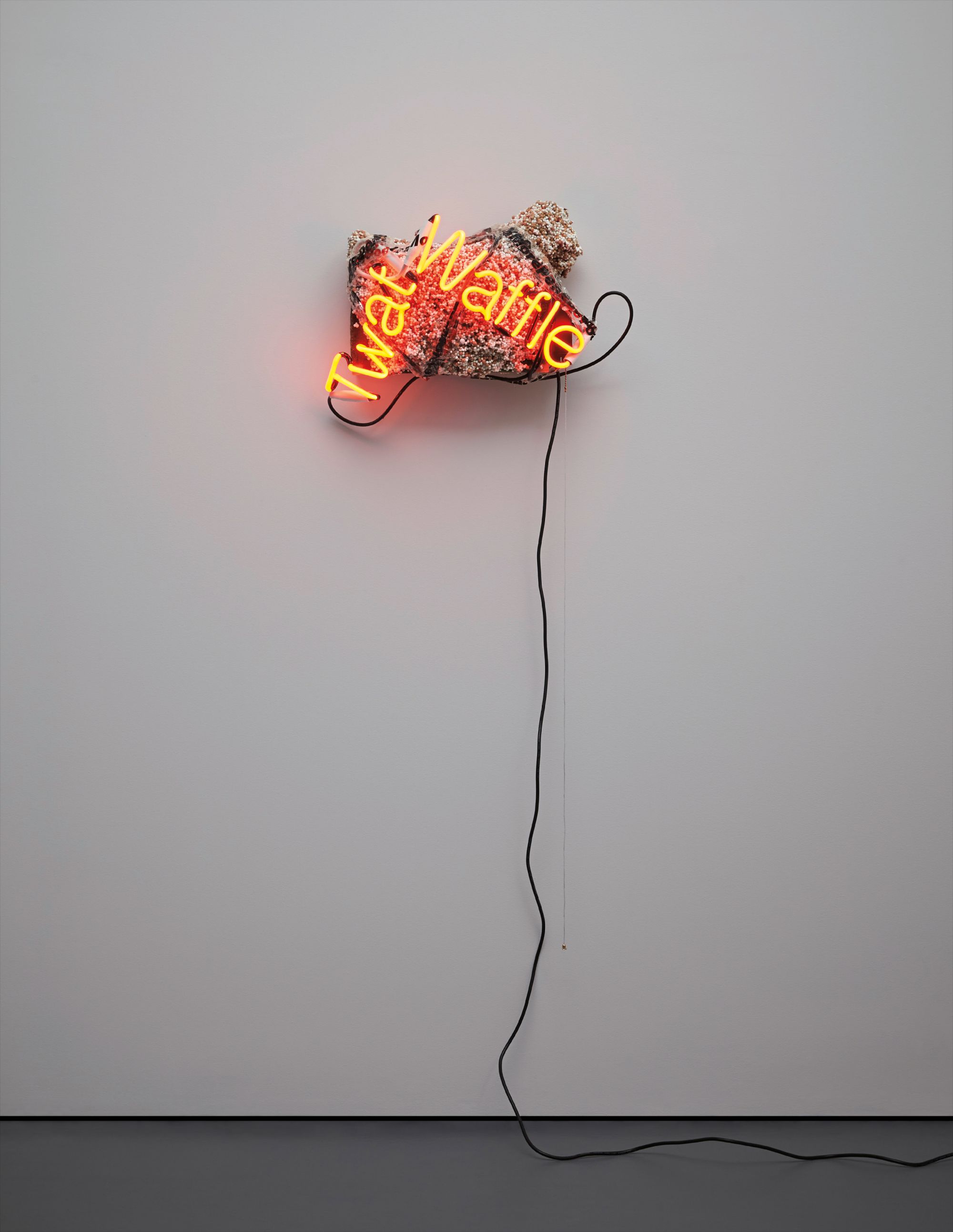 Jason Rhoades — Twat Waffle