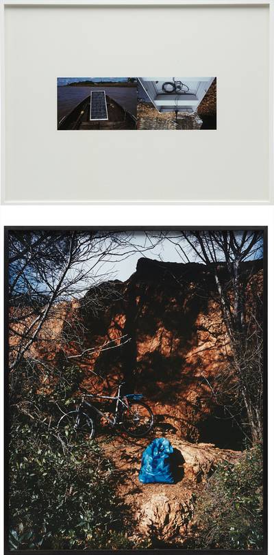 (i) This work is number 3 from an edition of 10.