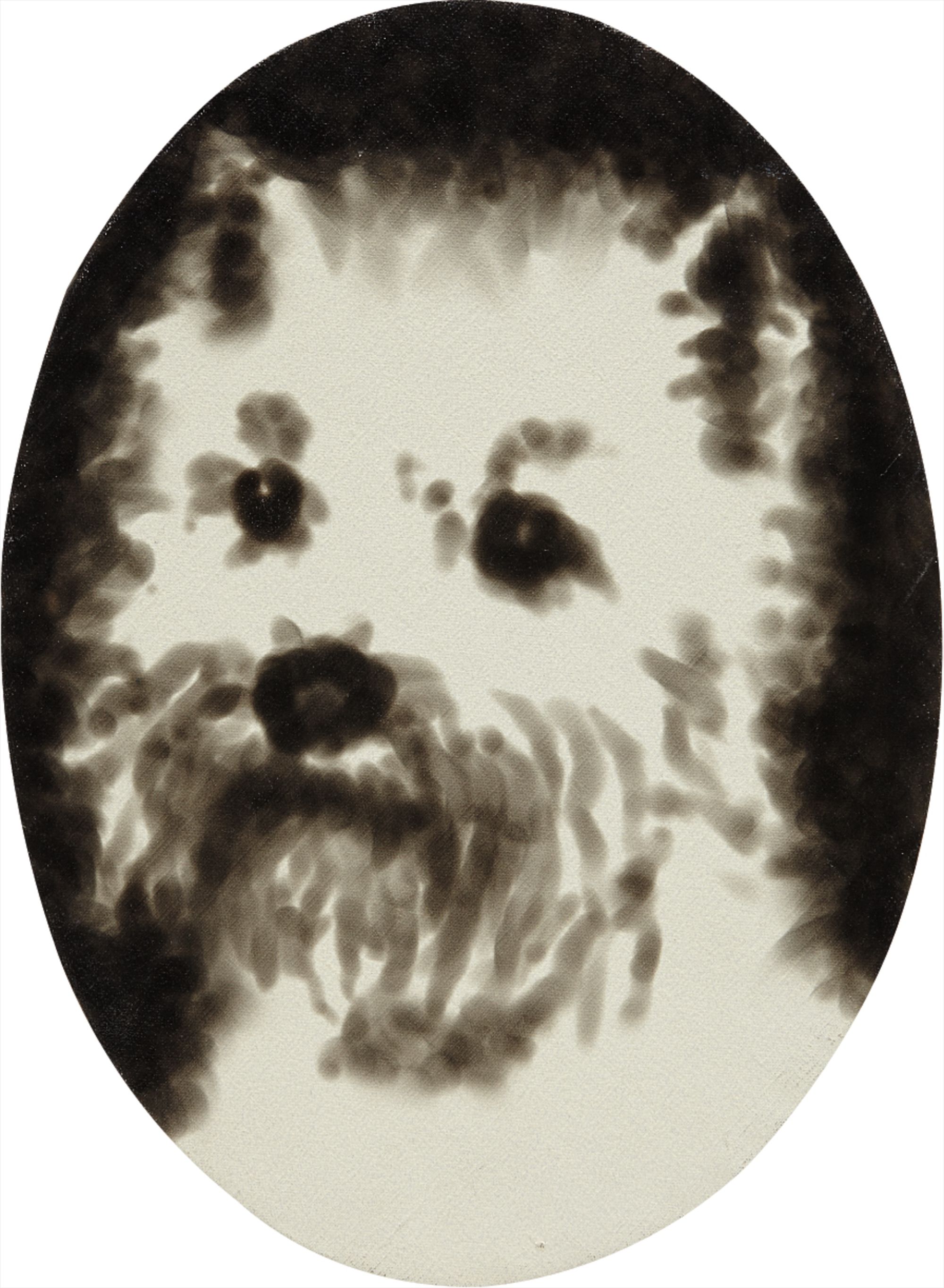 Dog Portrait