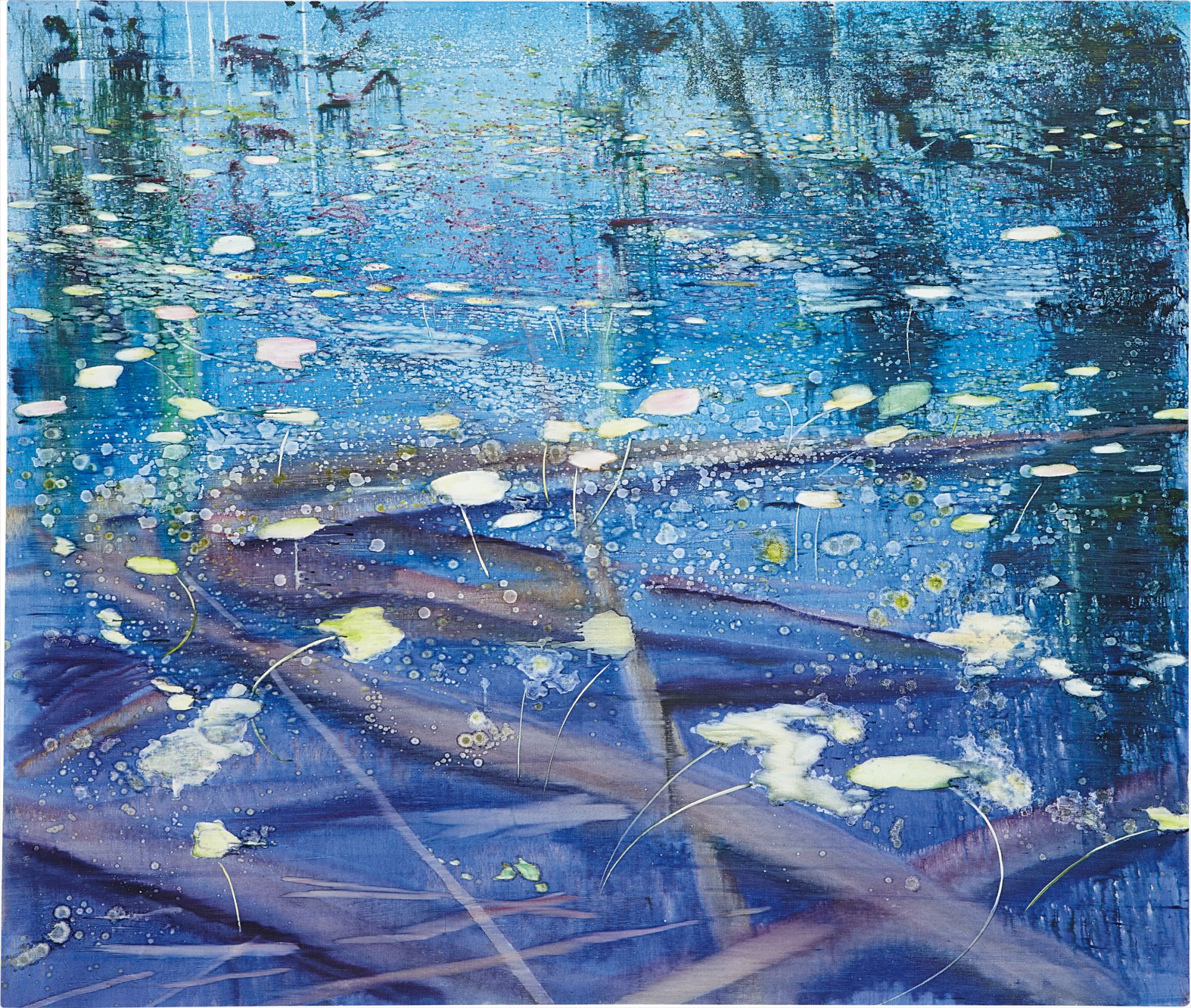 Matthias Meyer — Seerosen 5