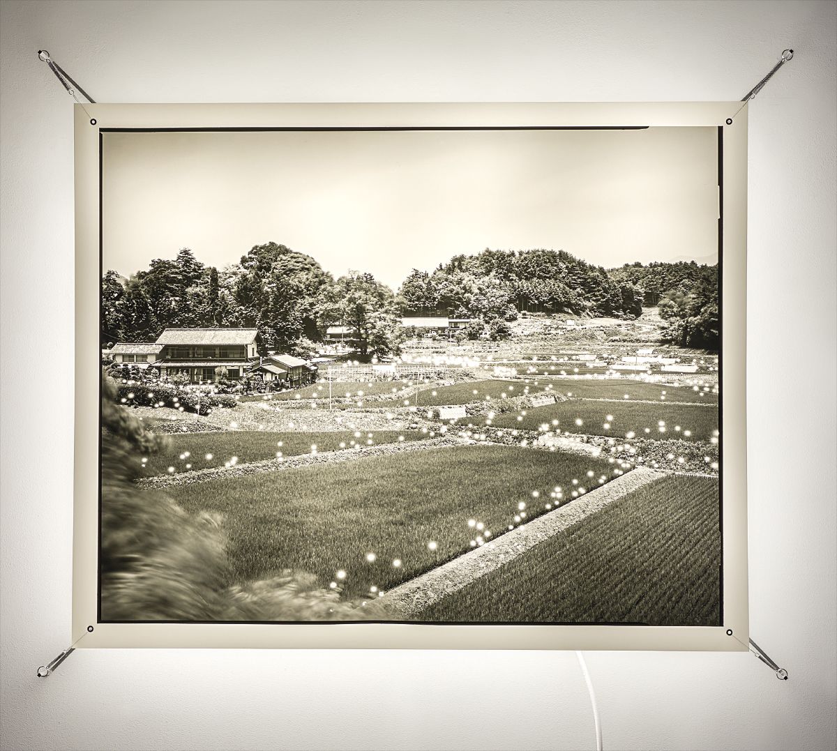 Tokihiro Sato — #149