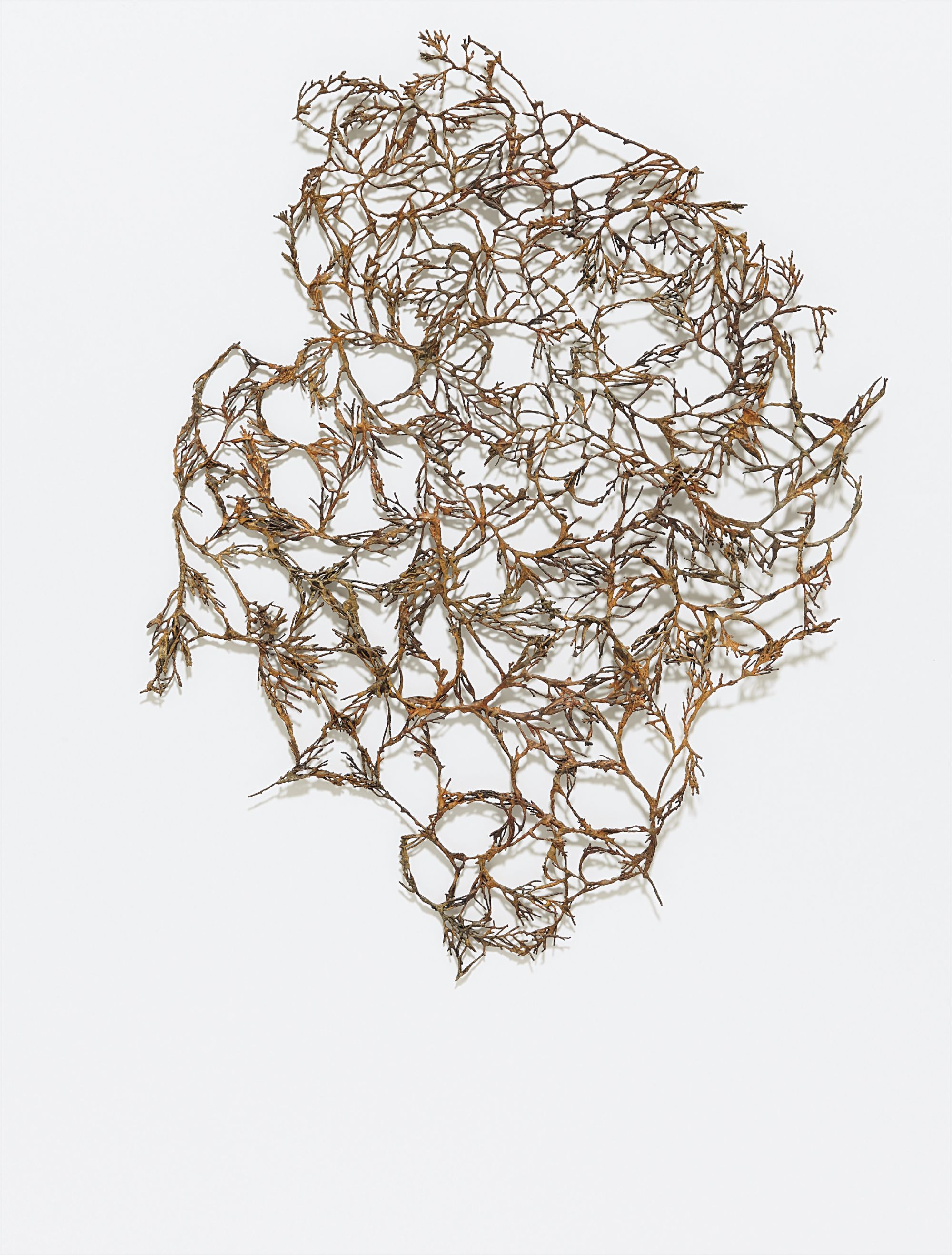 Linda Ridgway — Mapping