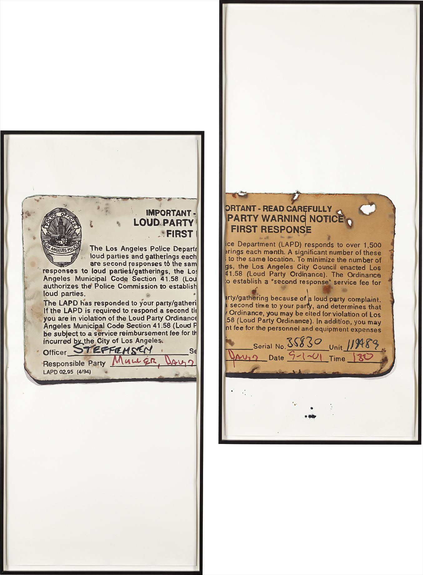 White Noise (diptych)