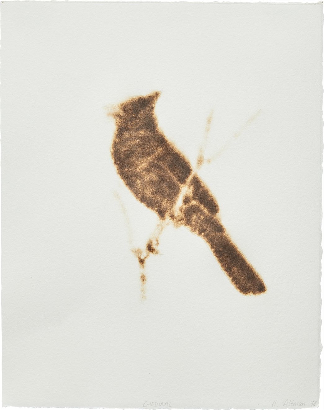 Helen Altman — Cardinal