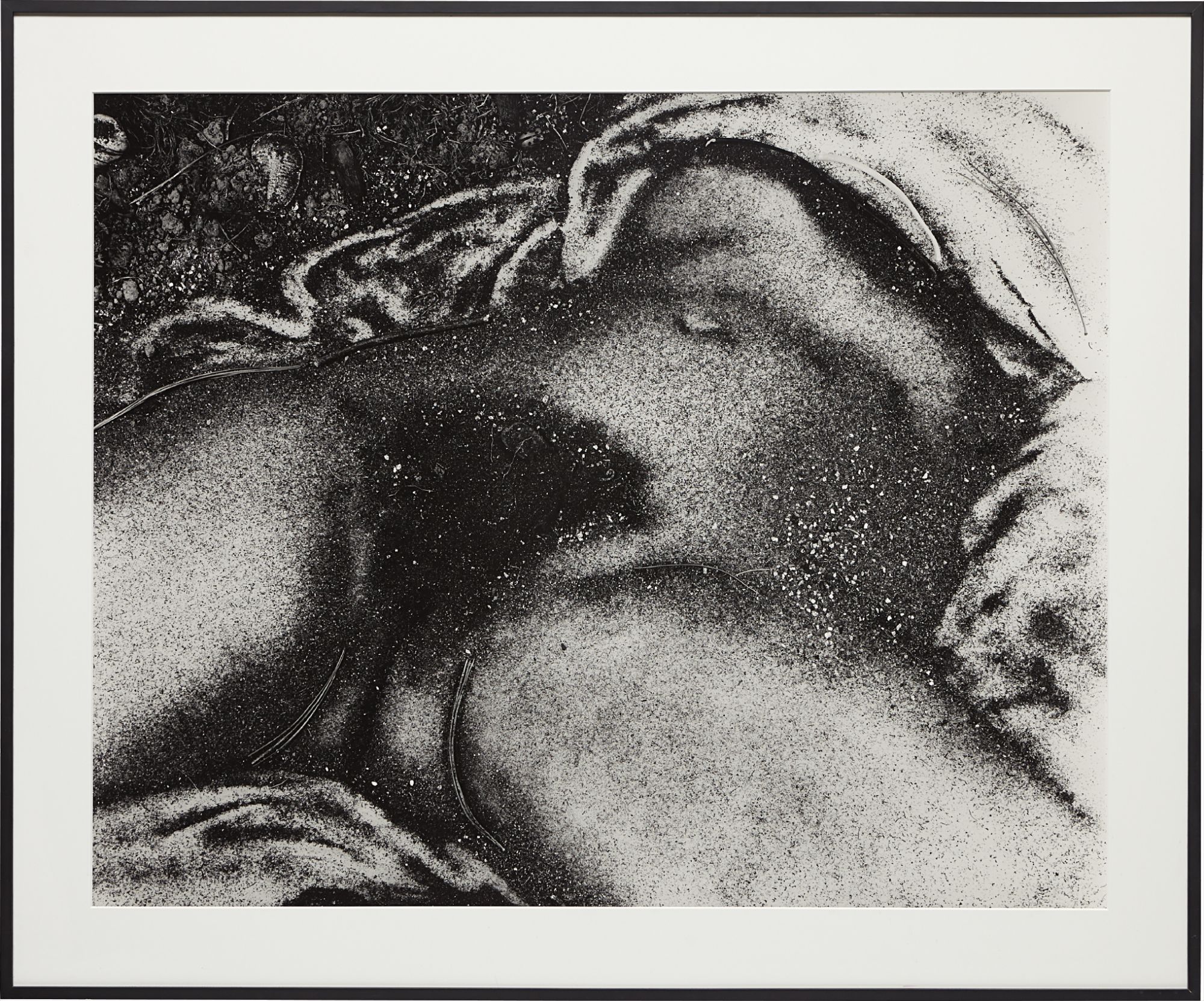 Vik Muniz — This work is artist's proof 2 from an edition of 10 plus 3 artist's proofs.