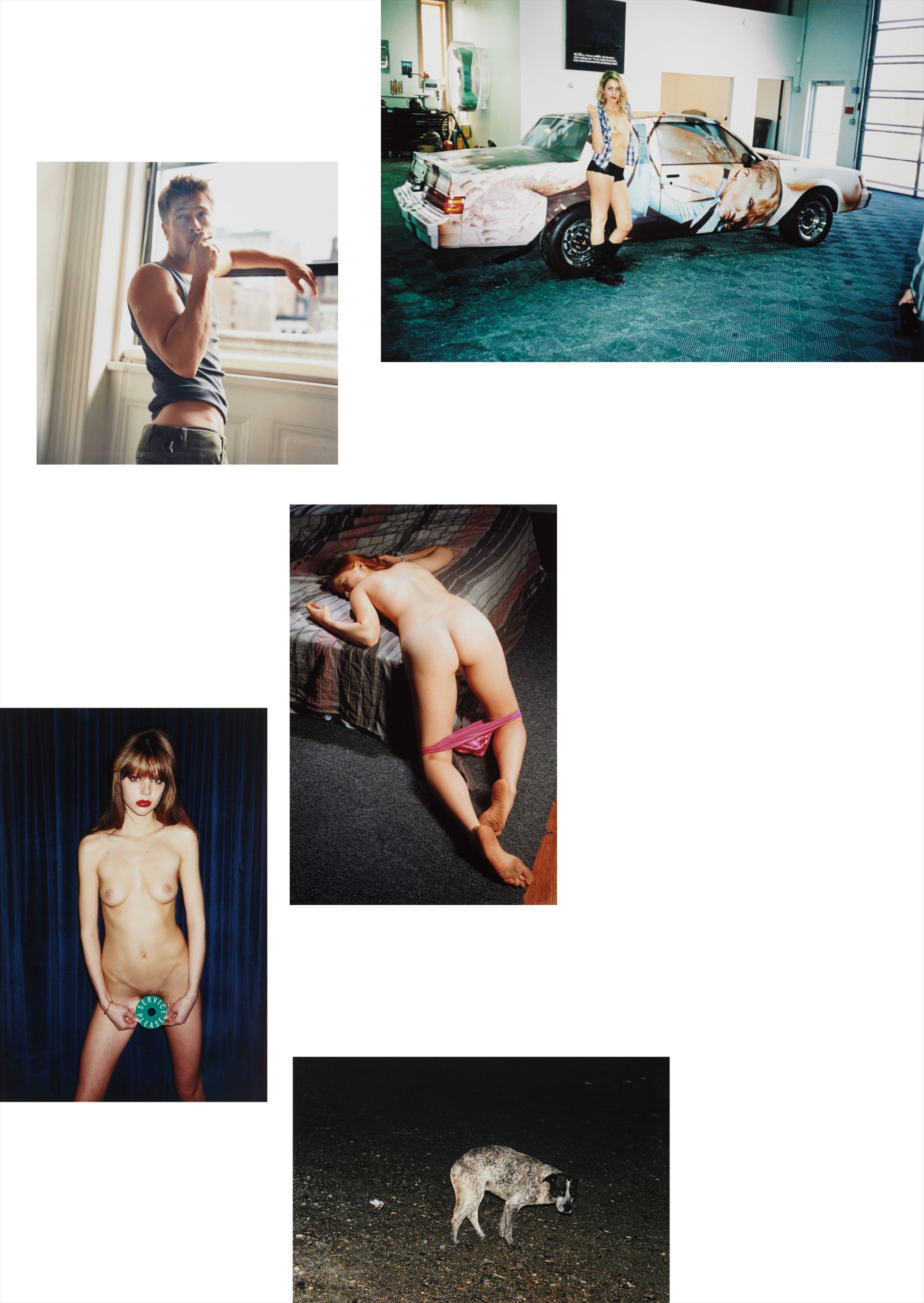 Various Artists — Five works: i) Hannah C; ii) Portrait of Brad Pitt; iii) Lara’s Panties; iv) Service Please; v) Pasolini’s Dog, all 2008