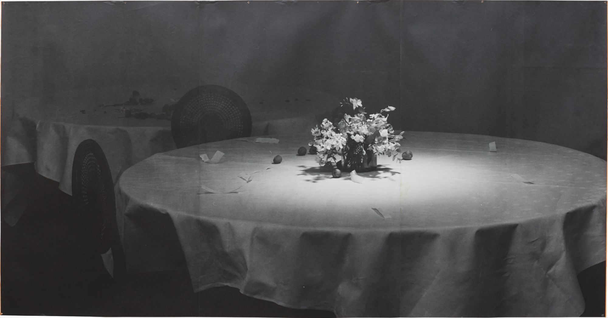 Hannah Collins — Open and Revolving