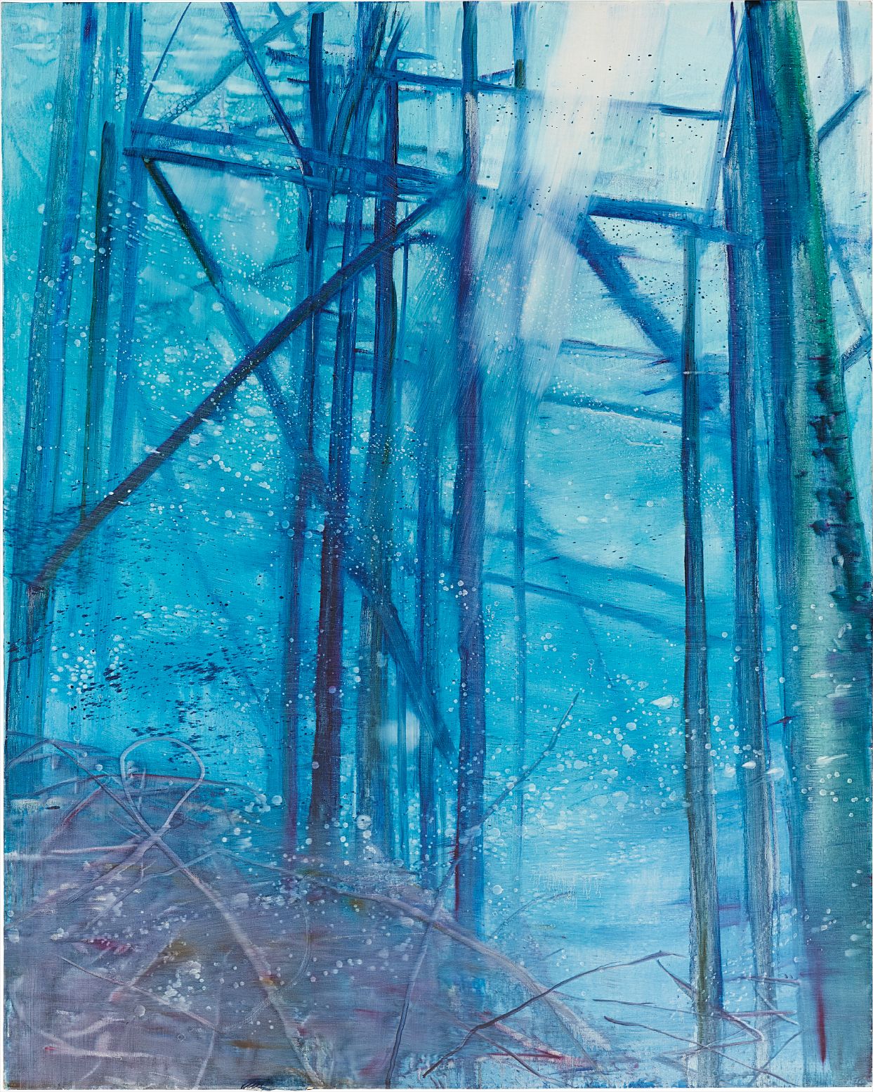 Matthias Meyer — Rig