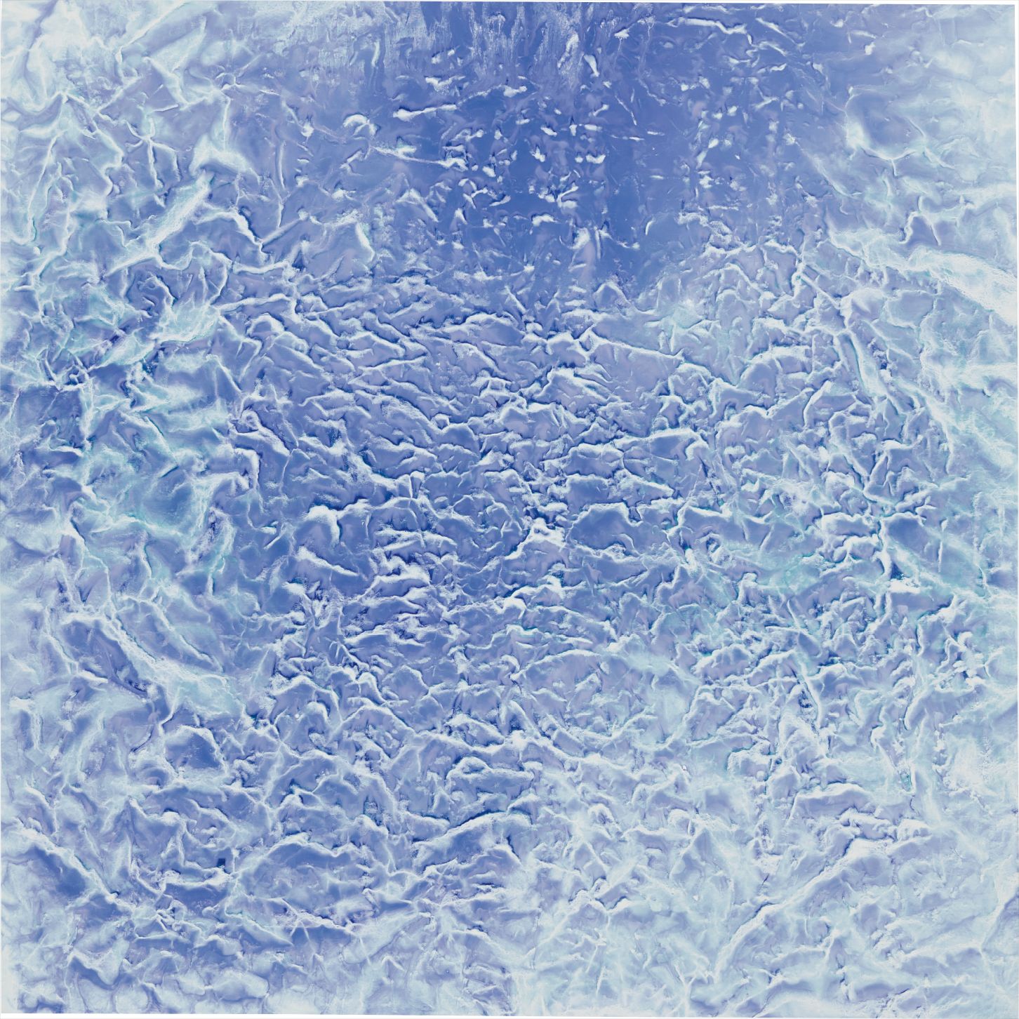 "Antarctica Series" #1361