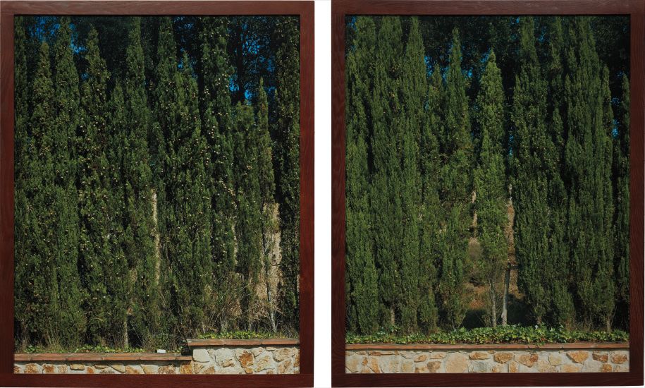 Two works: (i) Cyprès (T.105.91); (ii) Cyprès (T.106.91)