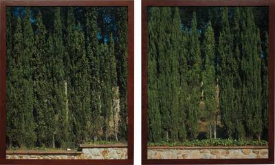 Two works: (i) Cyprès (T.105.91); (ii) Cyprès (T.106.91)