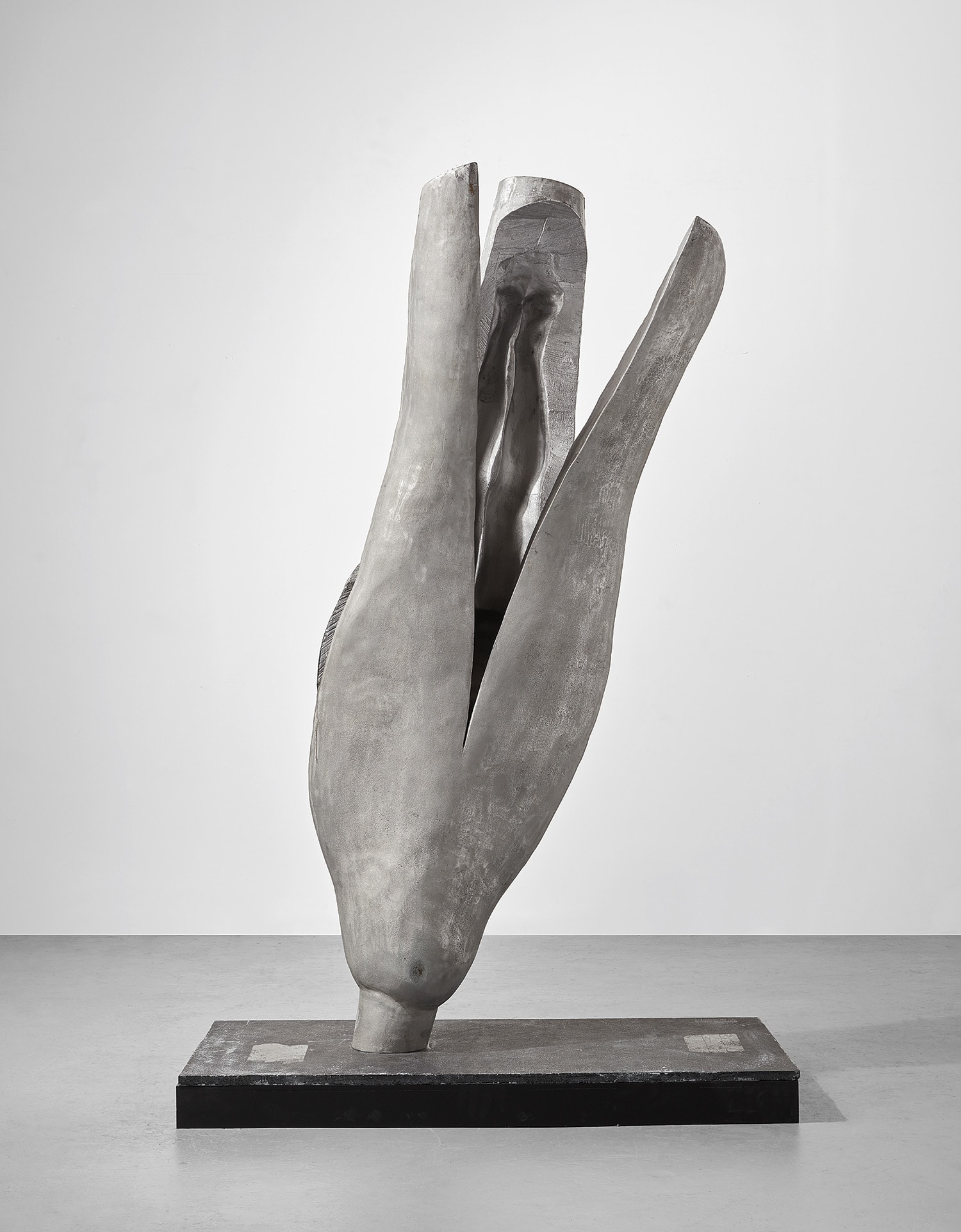 Marc Quinn — Landed