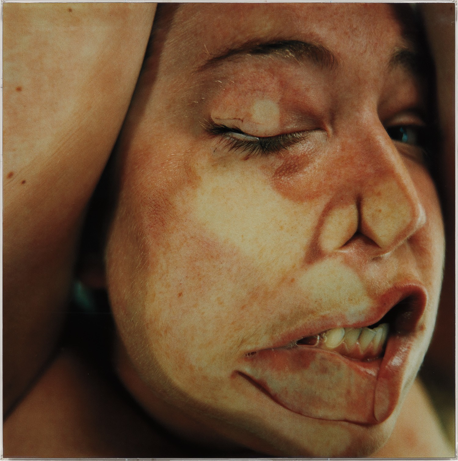 Jenny Saville — Closed Contact #15