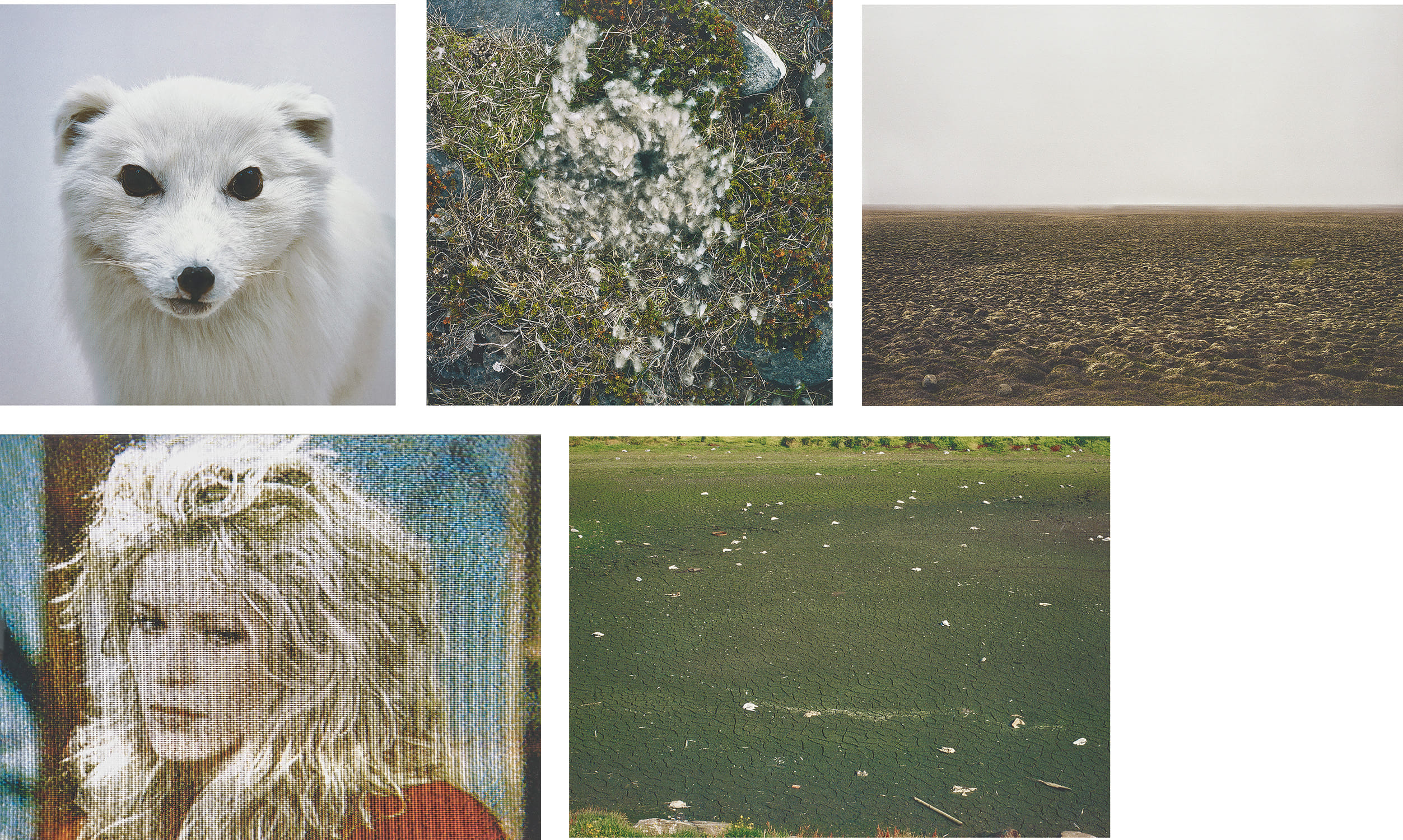 Roni Horn — Piece (4)