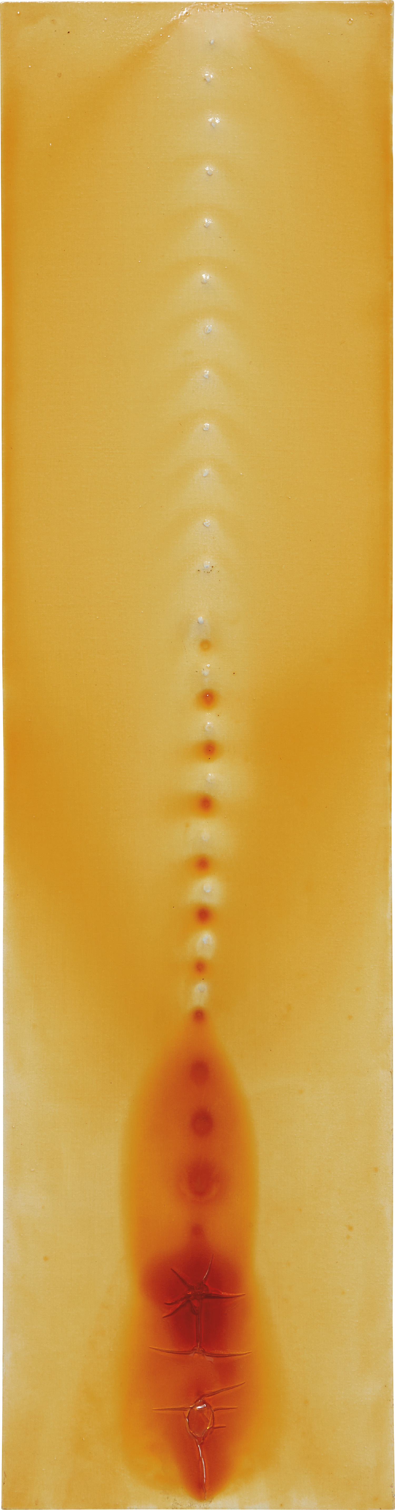 Tim Hawkinson — Vertabrae