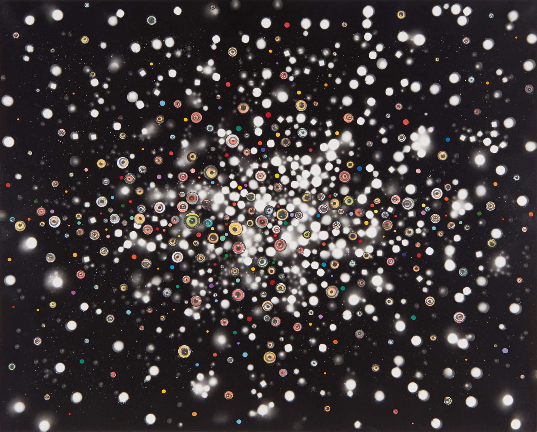 Fred Tomaselli — Slow Riot