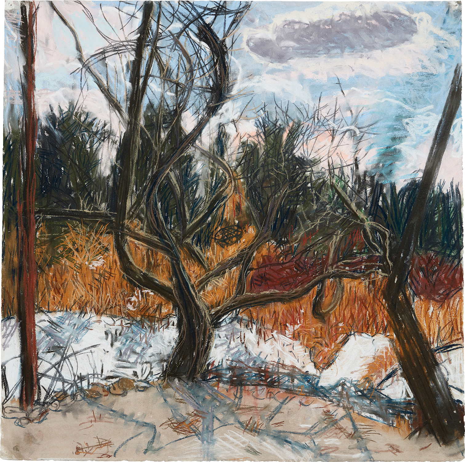 Jennifer Bartlett — December, Amagansett #17