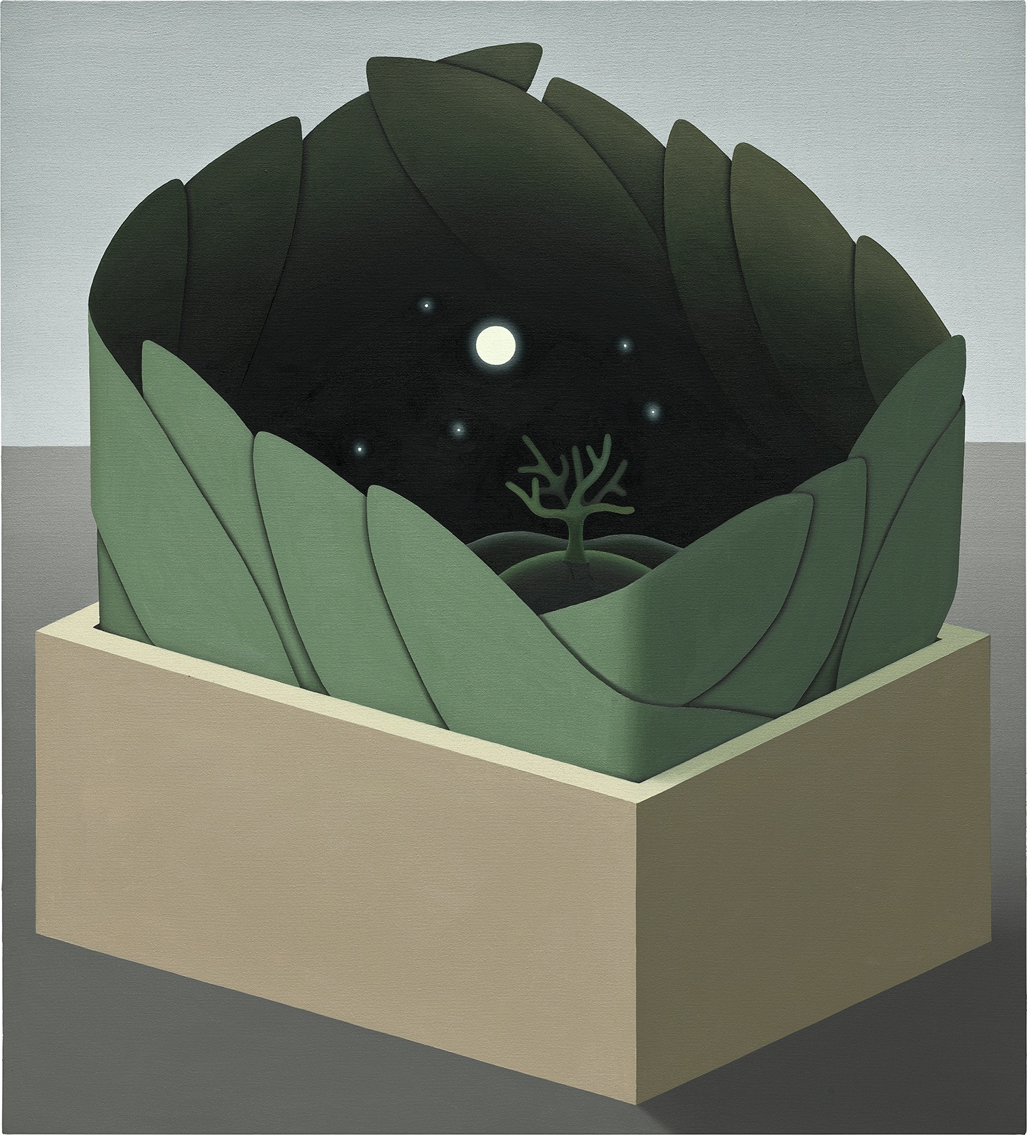 Emily Ludwig Shaffer — Bay Leaf Wrapped Night