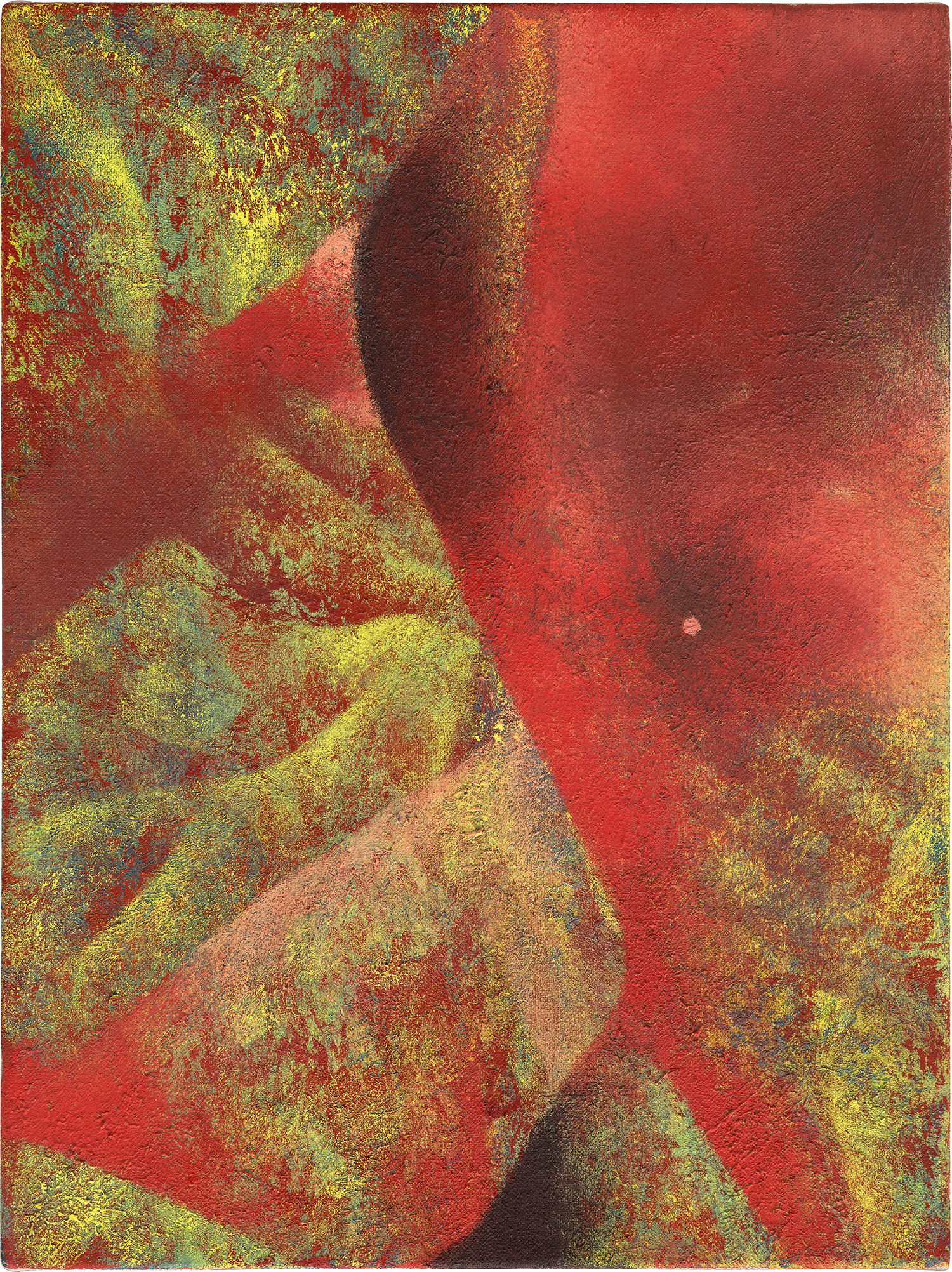 Petra Cortright — codearea code finderarea code maparea