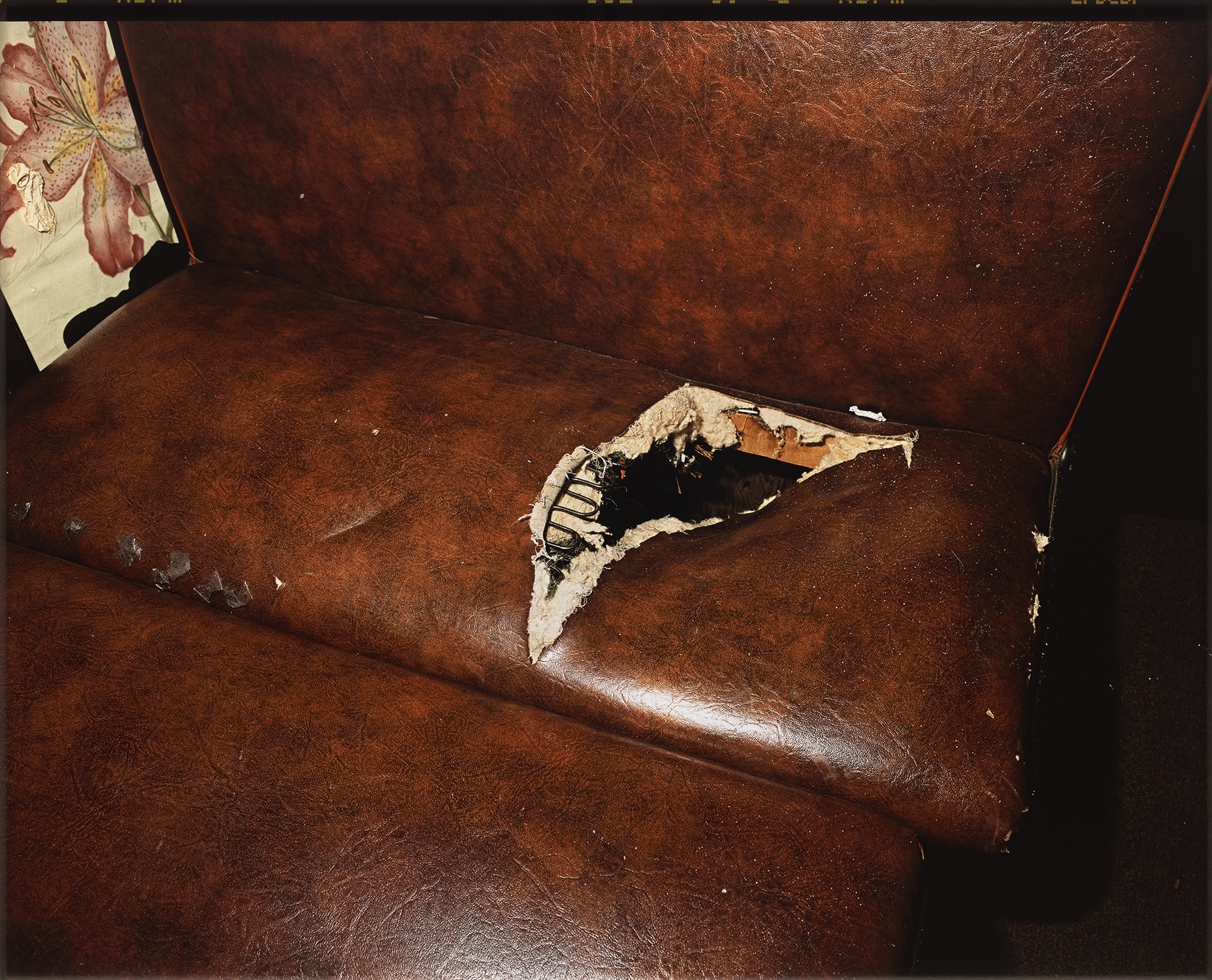 Deana Lawson — Portal