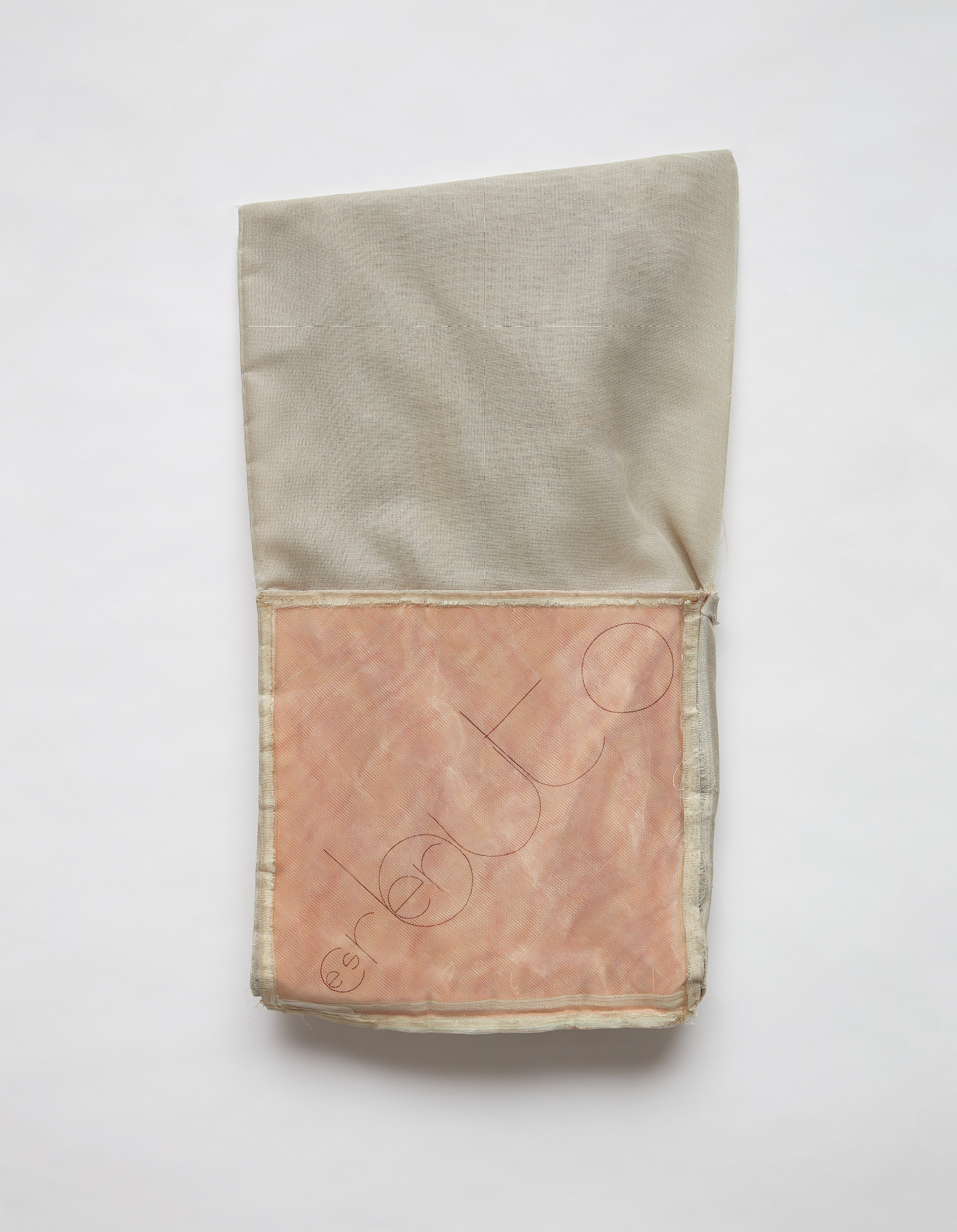 Hélio Oiticica — P31 Parangolé, capa 24, Escrerbuto