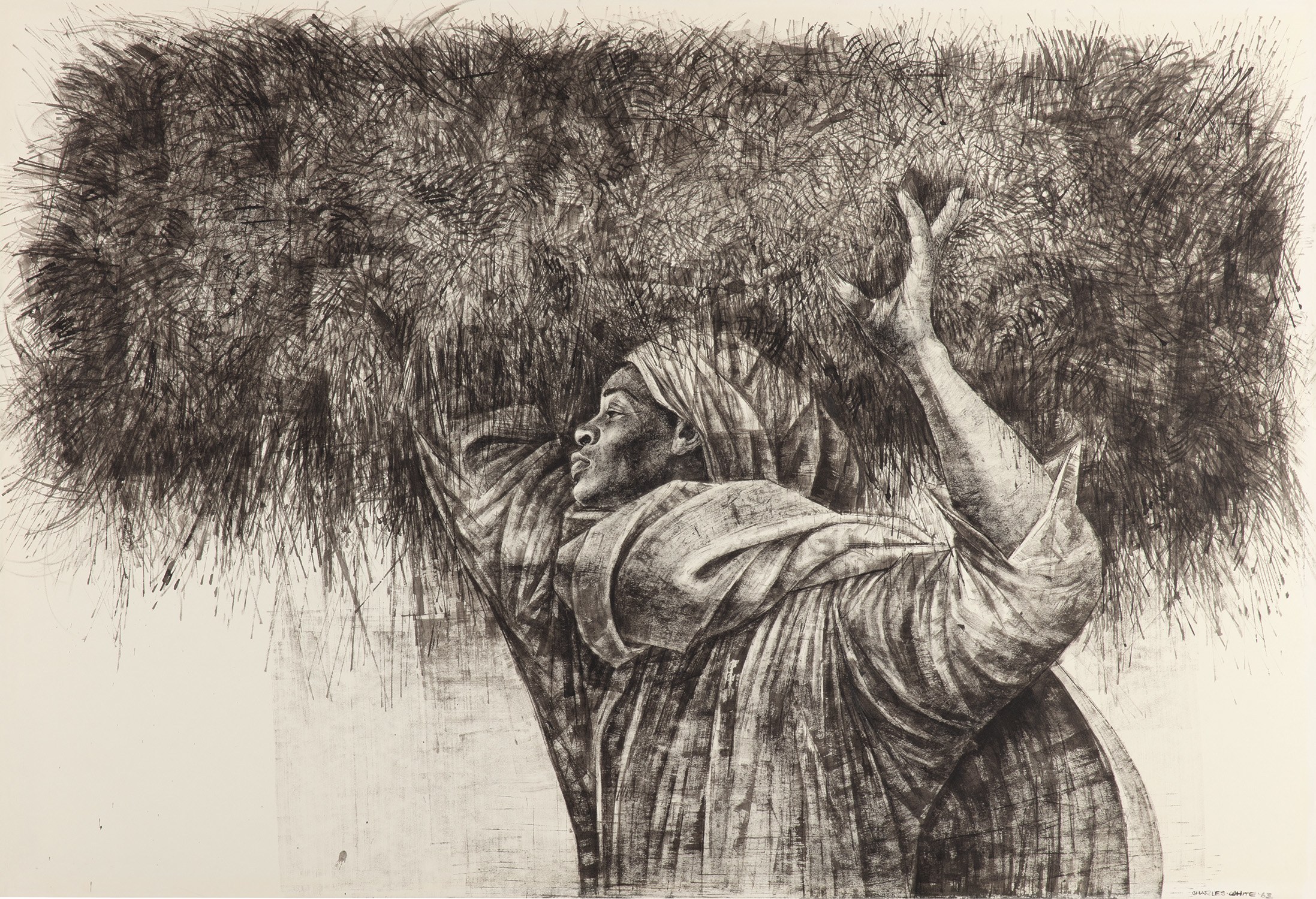 Charles White — Roots