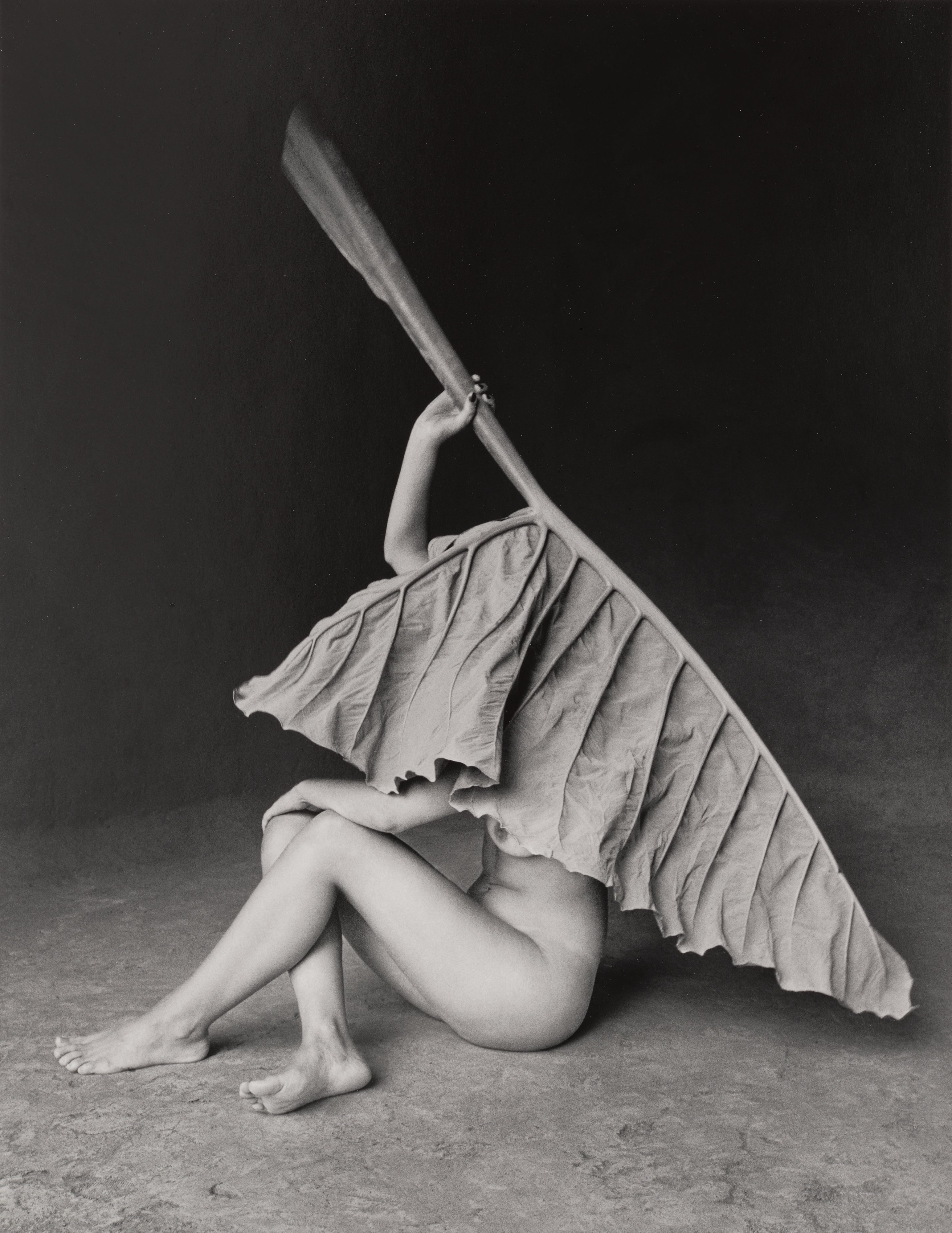 Hoja Elegante, Mexico