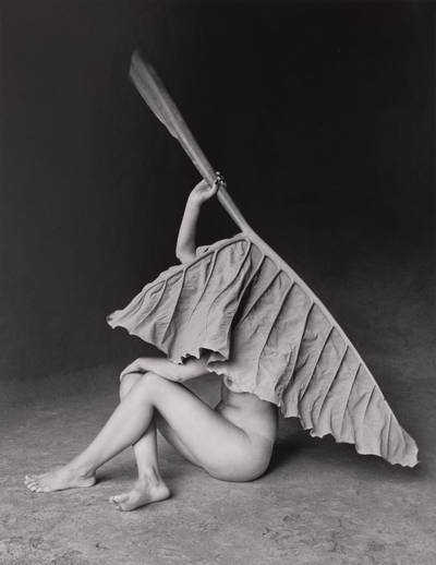 Hoja Elegante, Mexico