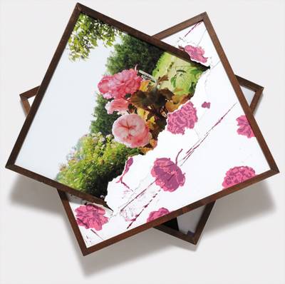 Fall 2009 (Screen Flower print, Flower on walk with Andrea/ Terry/Cindy 1)