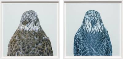 Iris print, in 2 parts