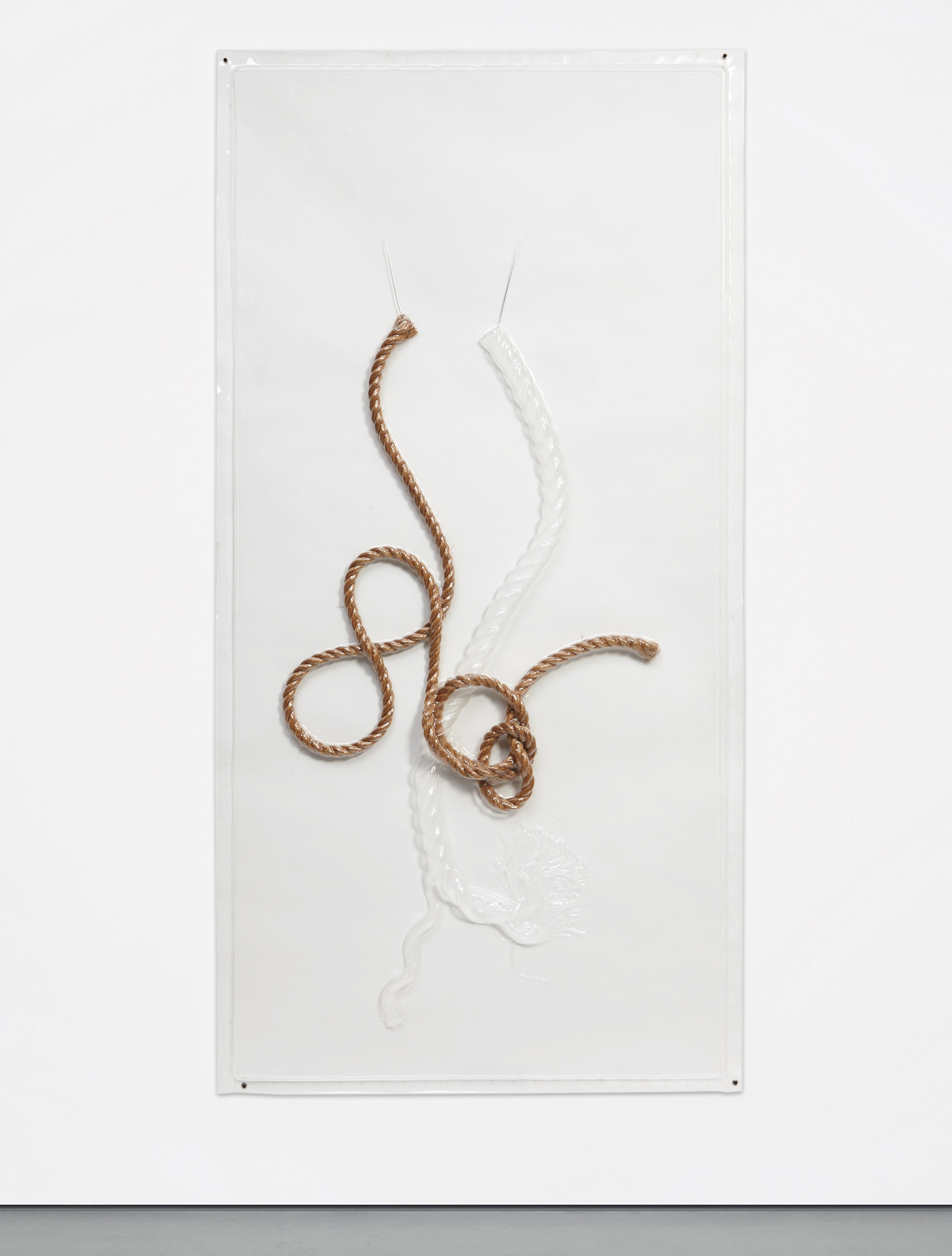 vacuum formed high impact polystyrene with ropes