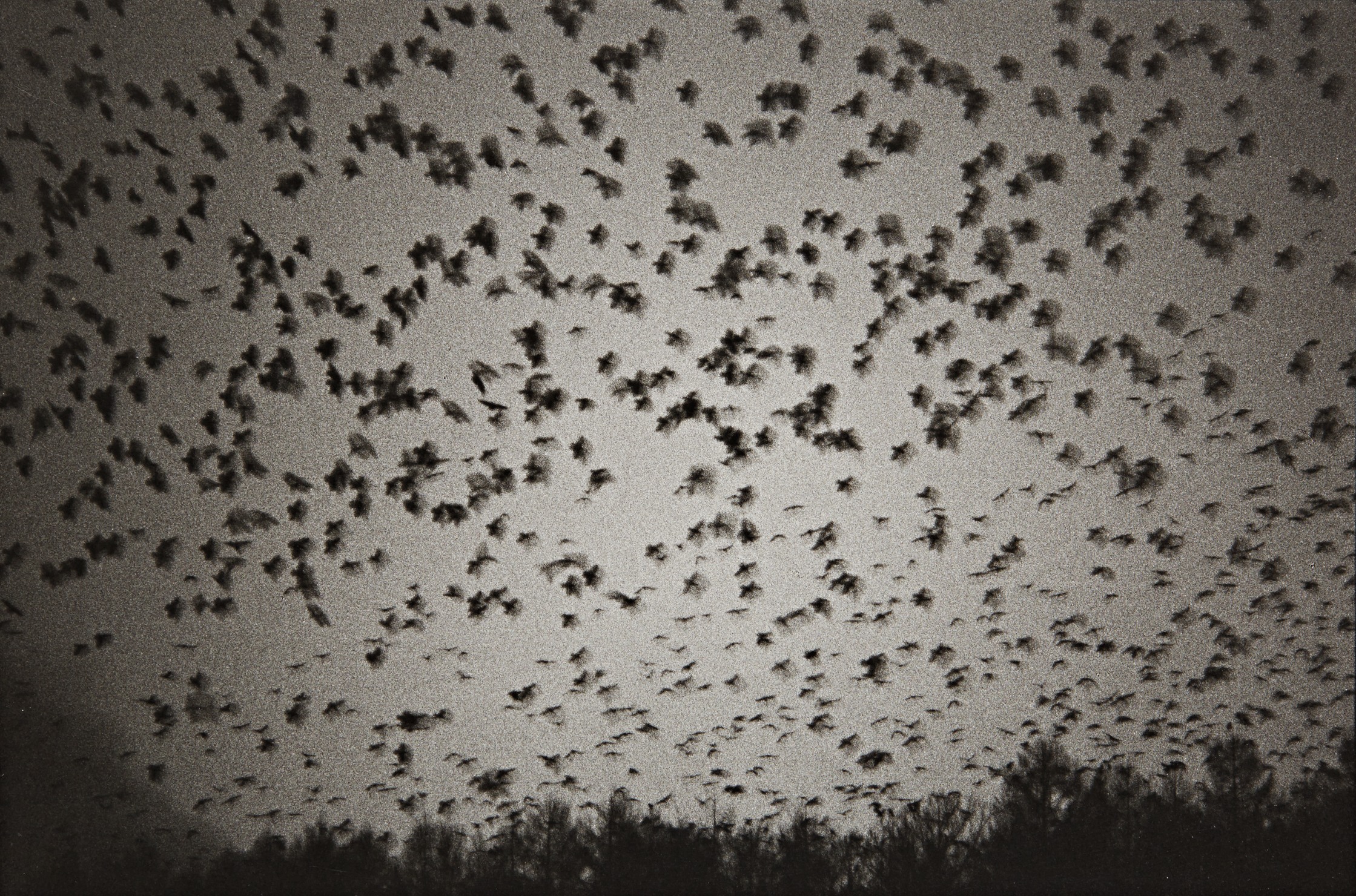 Noboribetsu Hot Spring, (mFv75)