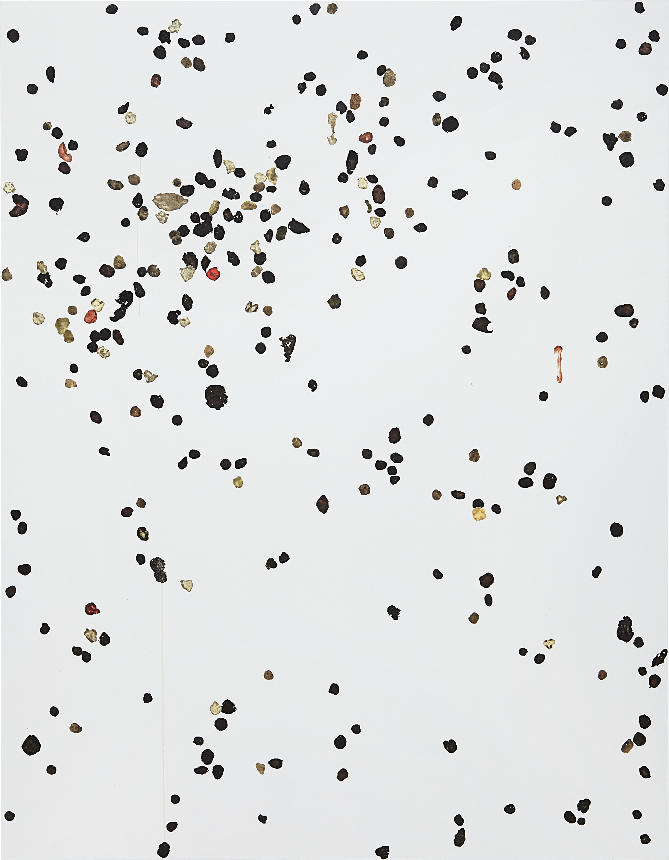 Adam McEwen — Kassel