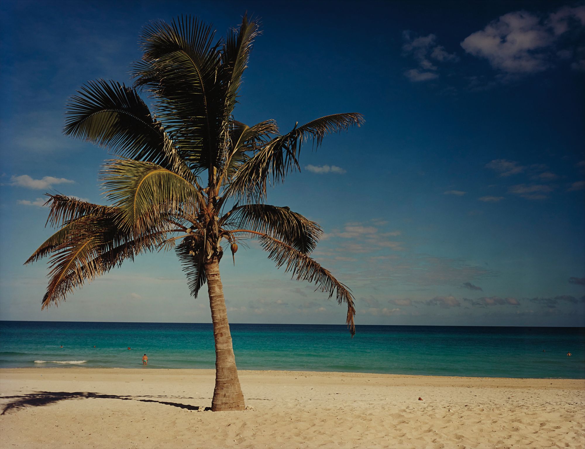 Christopher Williams — Punta Hicacos, Varadero, Cuba, 2000