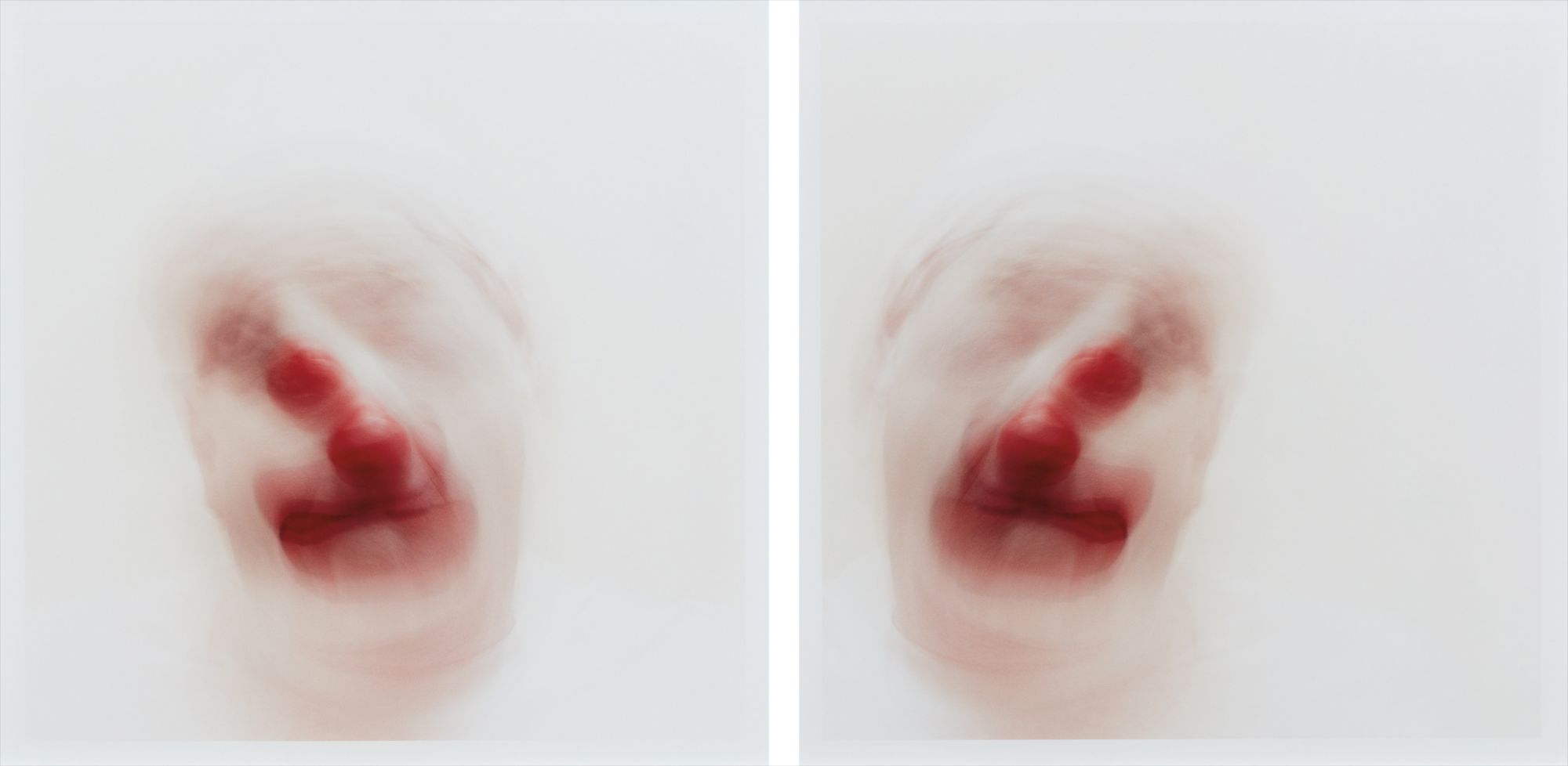 Roni Horn — Clownmirror #8