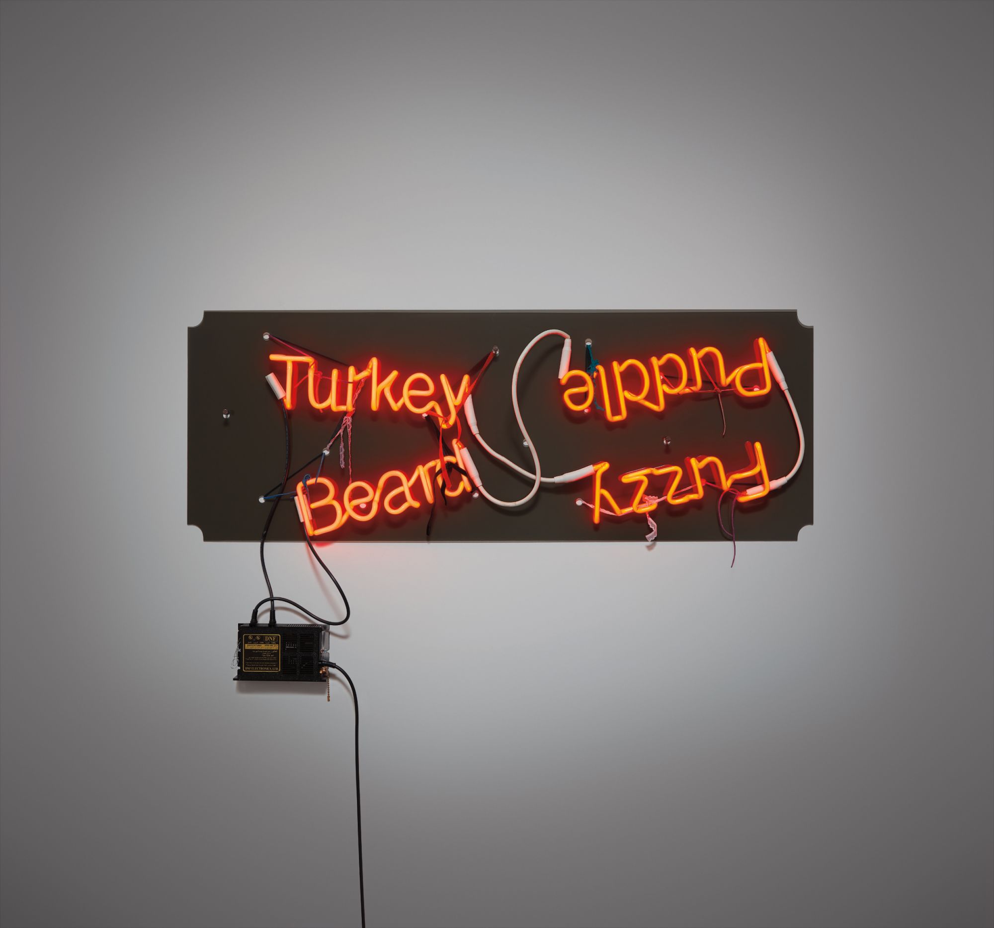 Jason Rhoades — Fuzzy Puddle/Turkey Beard