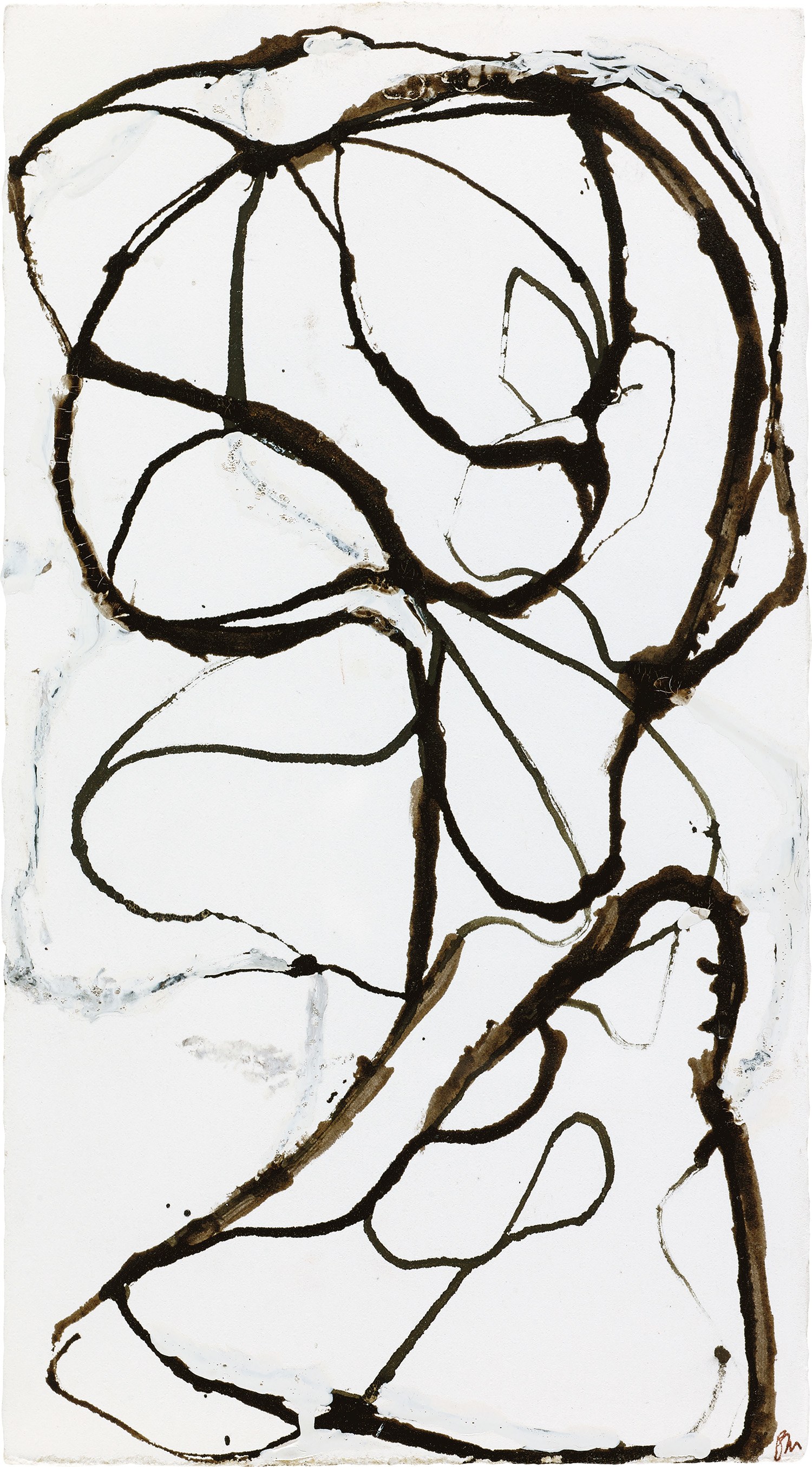 A Discerning Vision — Brice Marden