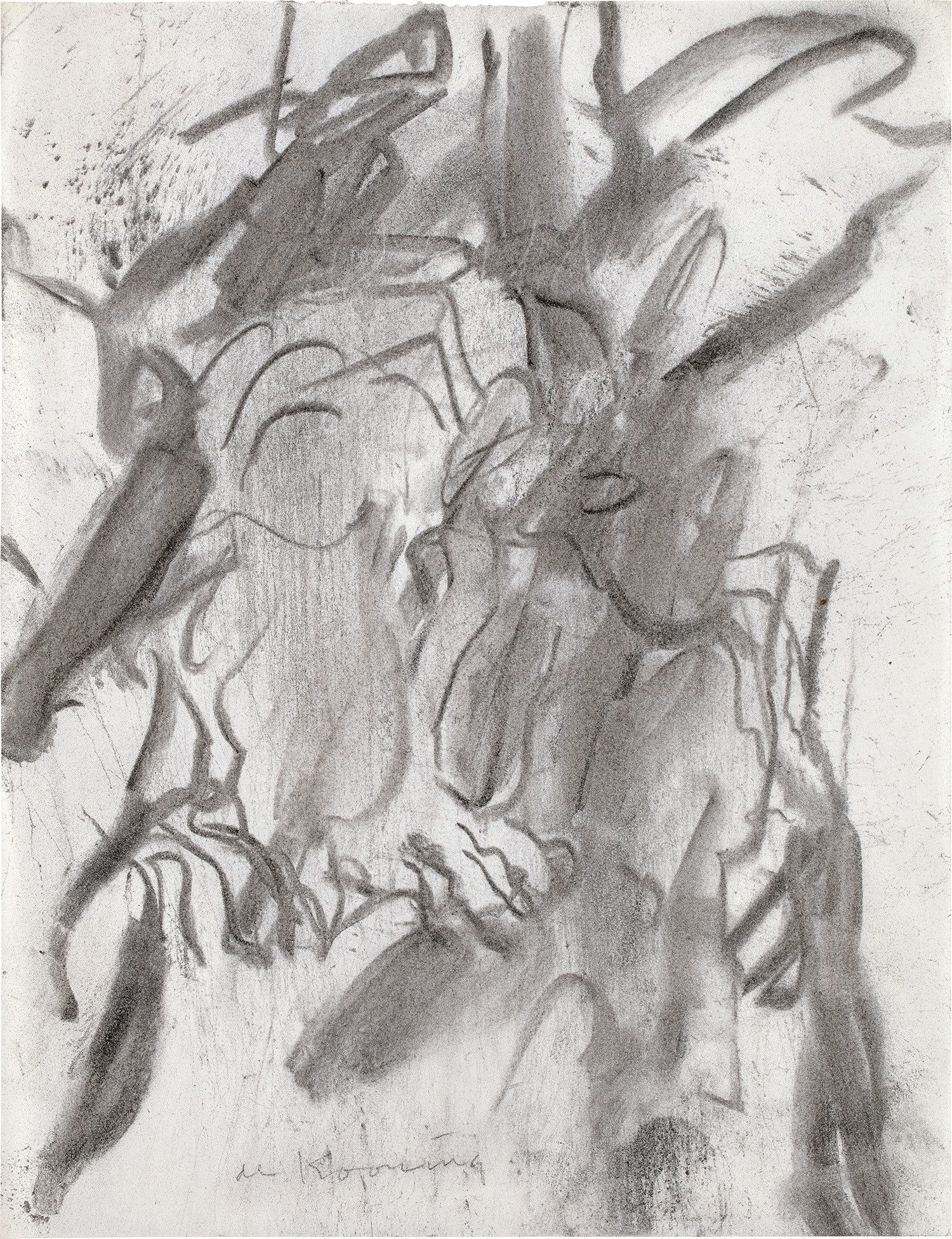 A Discerning Vision — Willem de Kooning
