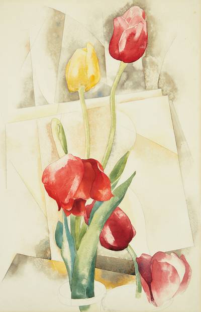 Tulips
