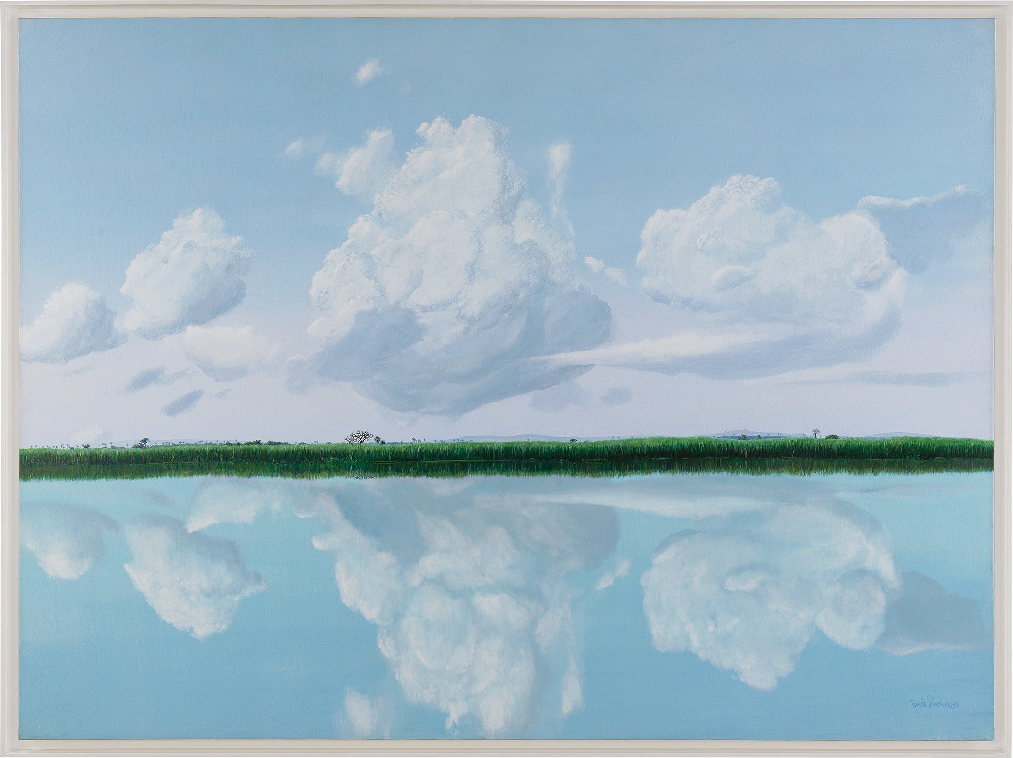 Tomás Sánchez — Orilla: Espejo de las Nubes