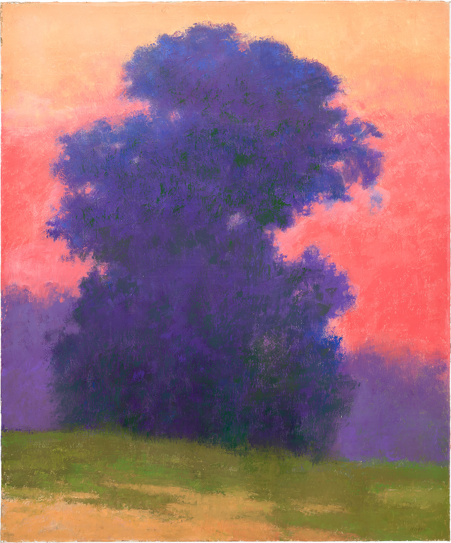 Richard Mayhew — Guardian