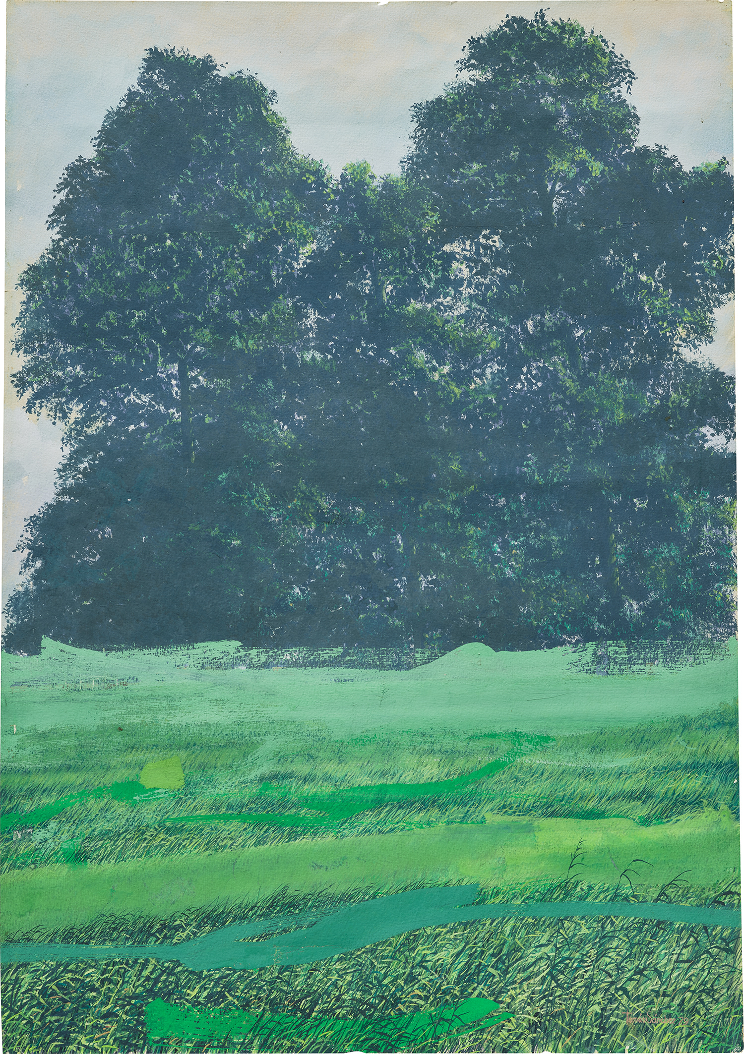 Tomás Sánchez — Liberación del verde